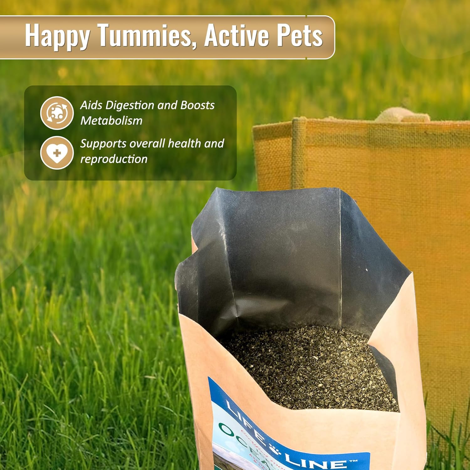 5 LB Life Line Pet Nutrition Organic Ocean KELP Supplement for Pets