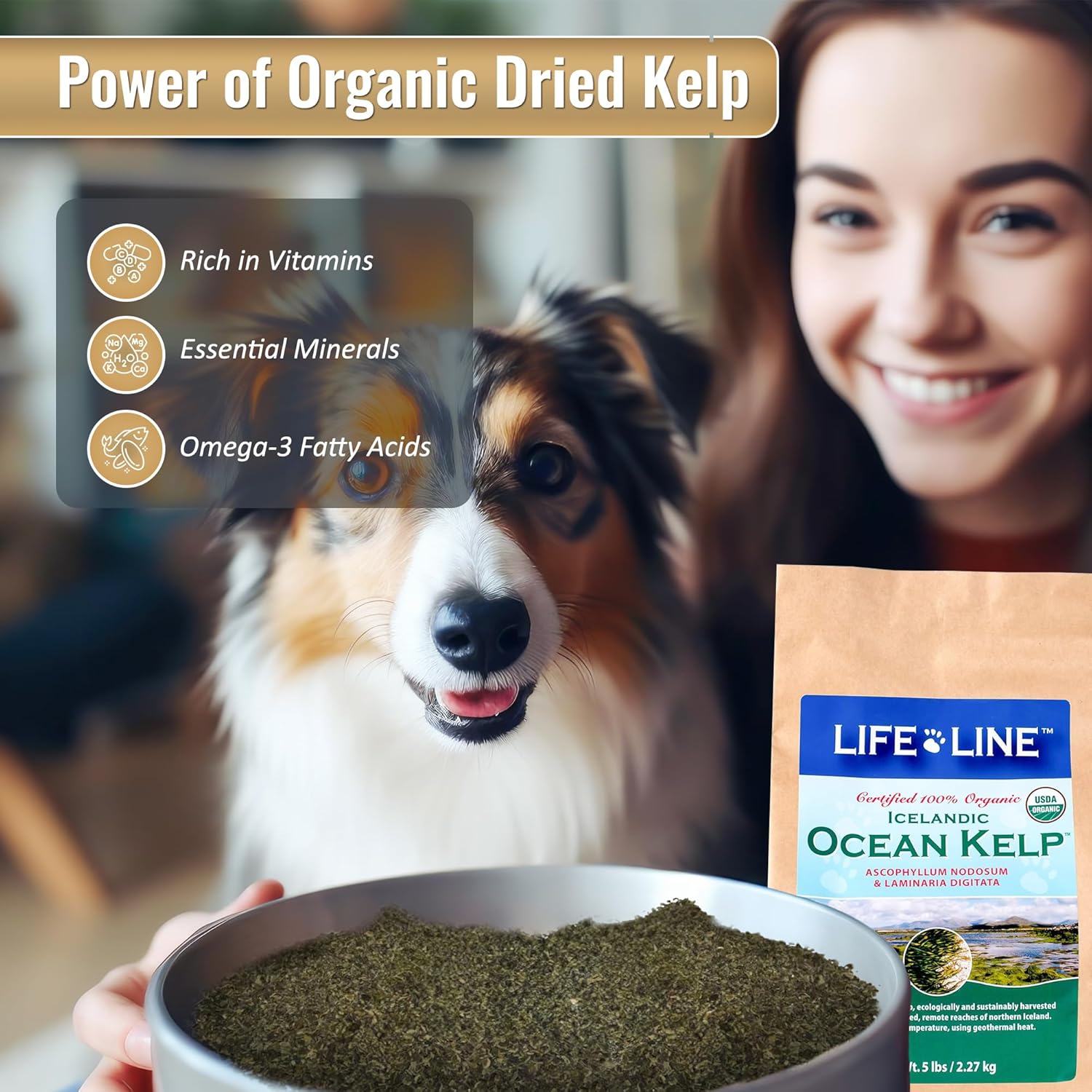 5 LB Life Line Pet Nutrition Organic Ocean KELP Supplement for Pets