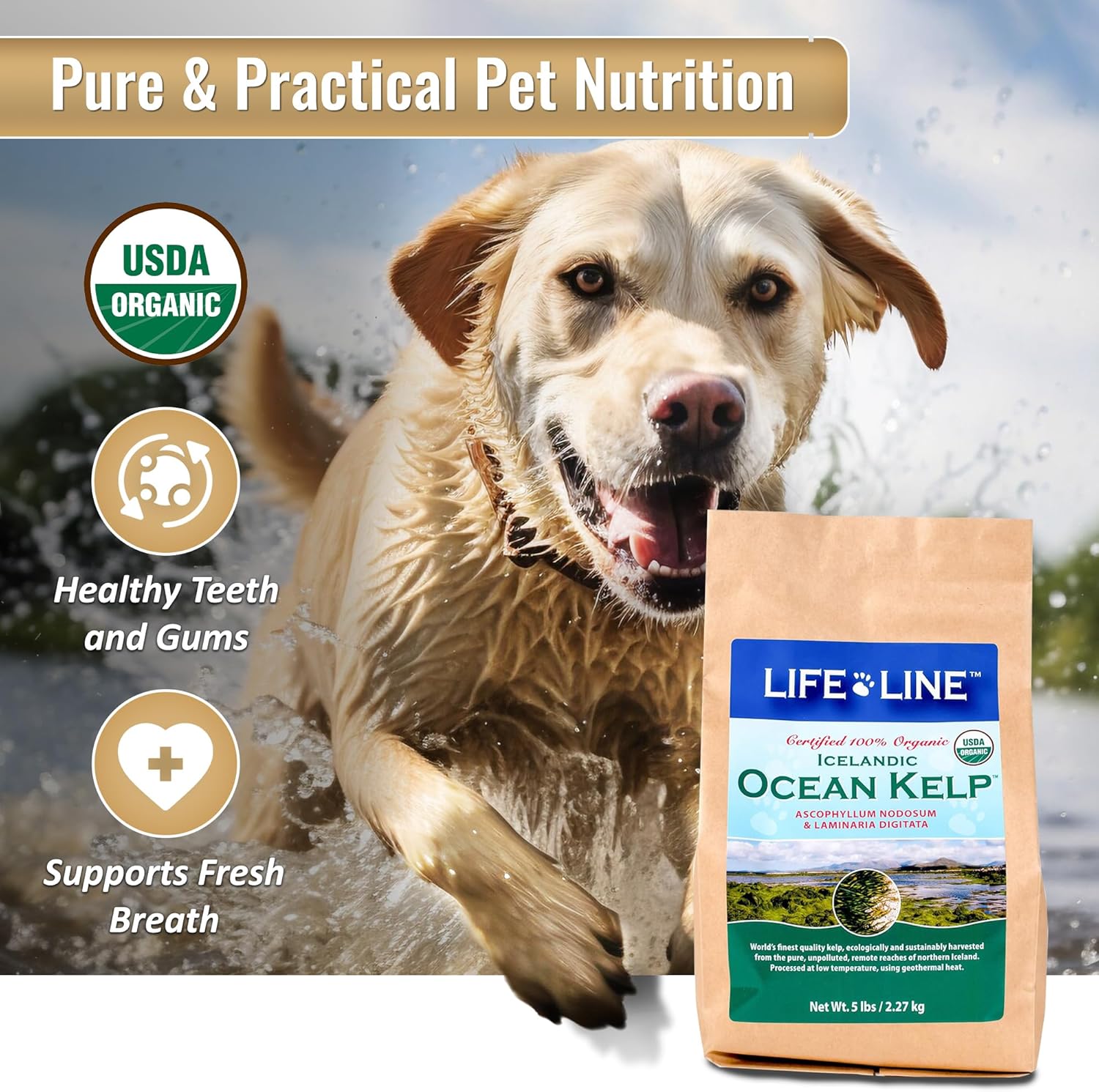 5 LB Life Line Pet Nutrition Organic Ocean KELP Supplement for Pets