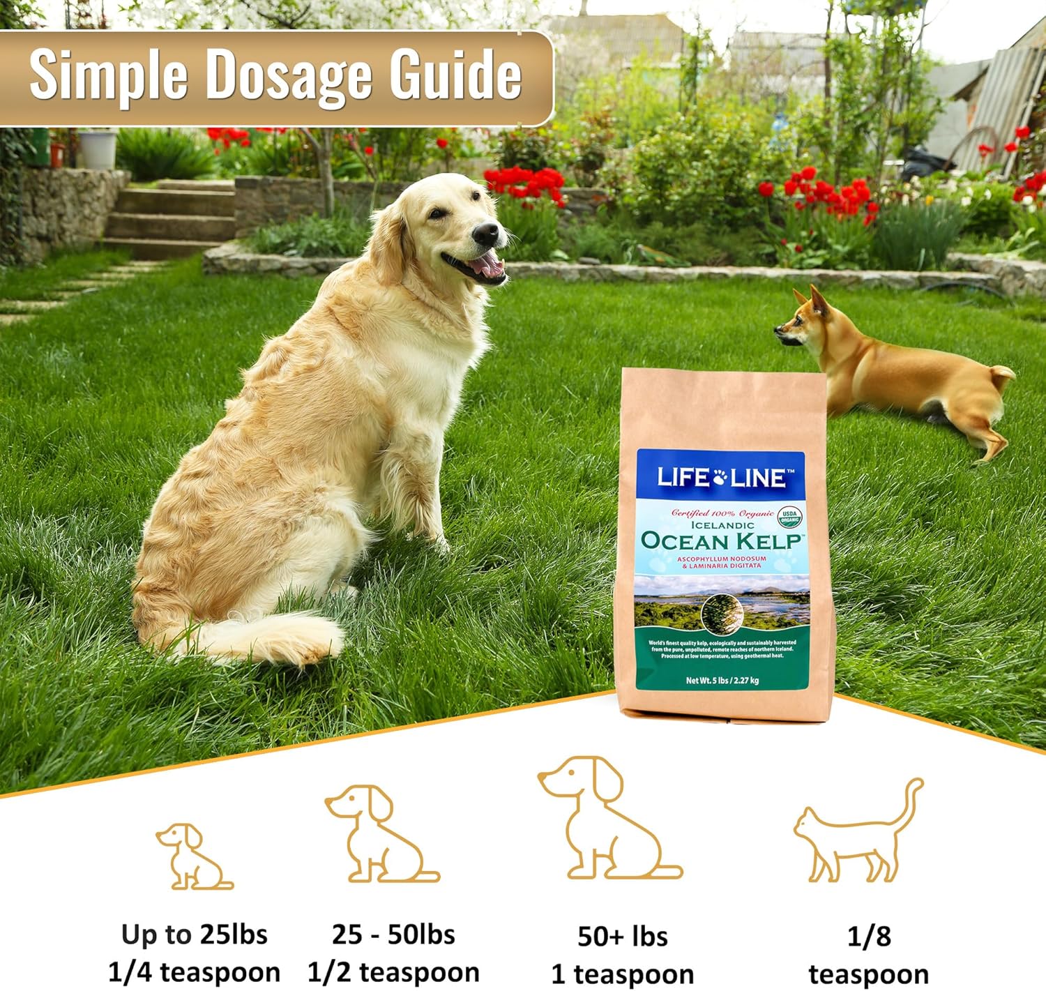 5 LB Life Line Pet Nutrition Organic Ocean KELP Supplement for Pets