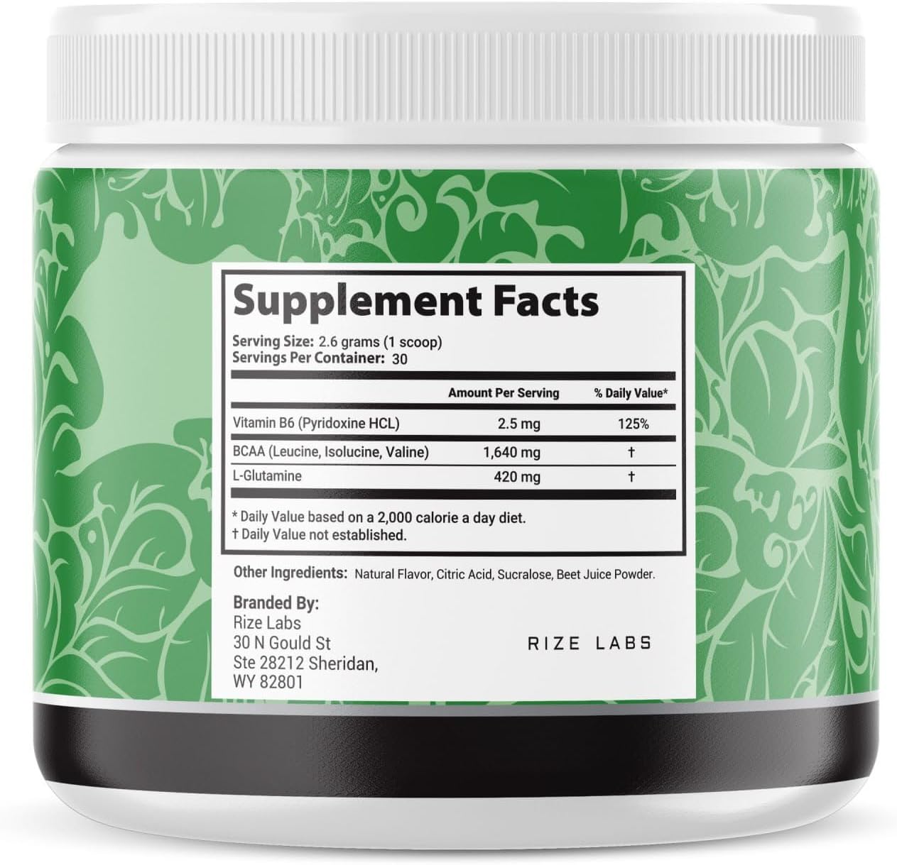 5 Pack Fast Lean Pro Advanced Formula Supplement Capsules by Rize Labs - Hydration BCAA Drink with Great Taste (120 Servings)