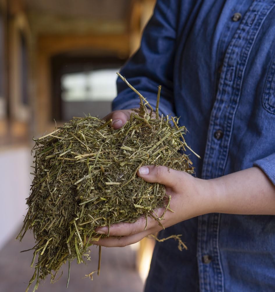 50 lb Triple Crown StressFree Forage: Calming Supplement for Horses, Equine Stress Relief & Anxiety Support