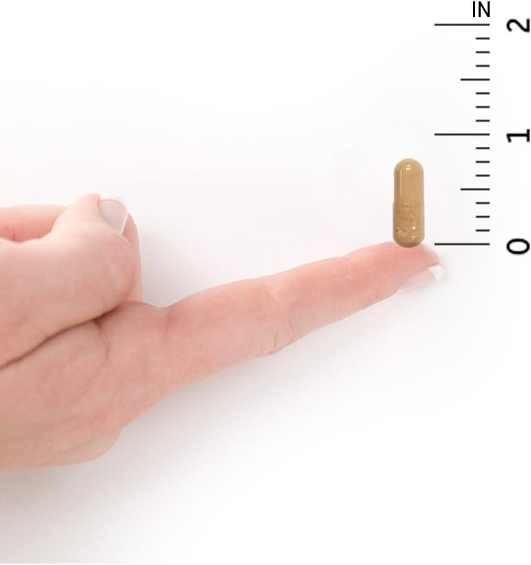 50 & Wiser Women's Probiotic with Acidophilus and Live Cultures - 90 Vegetarian Capsules for Women Over 50 by Garden of Life