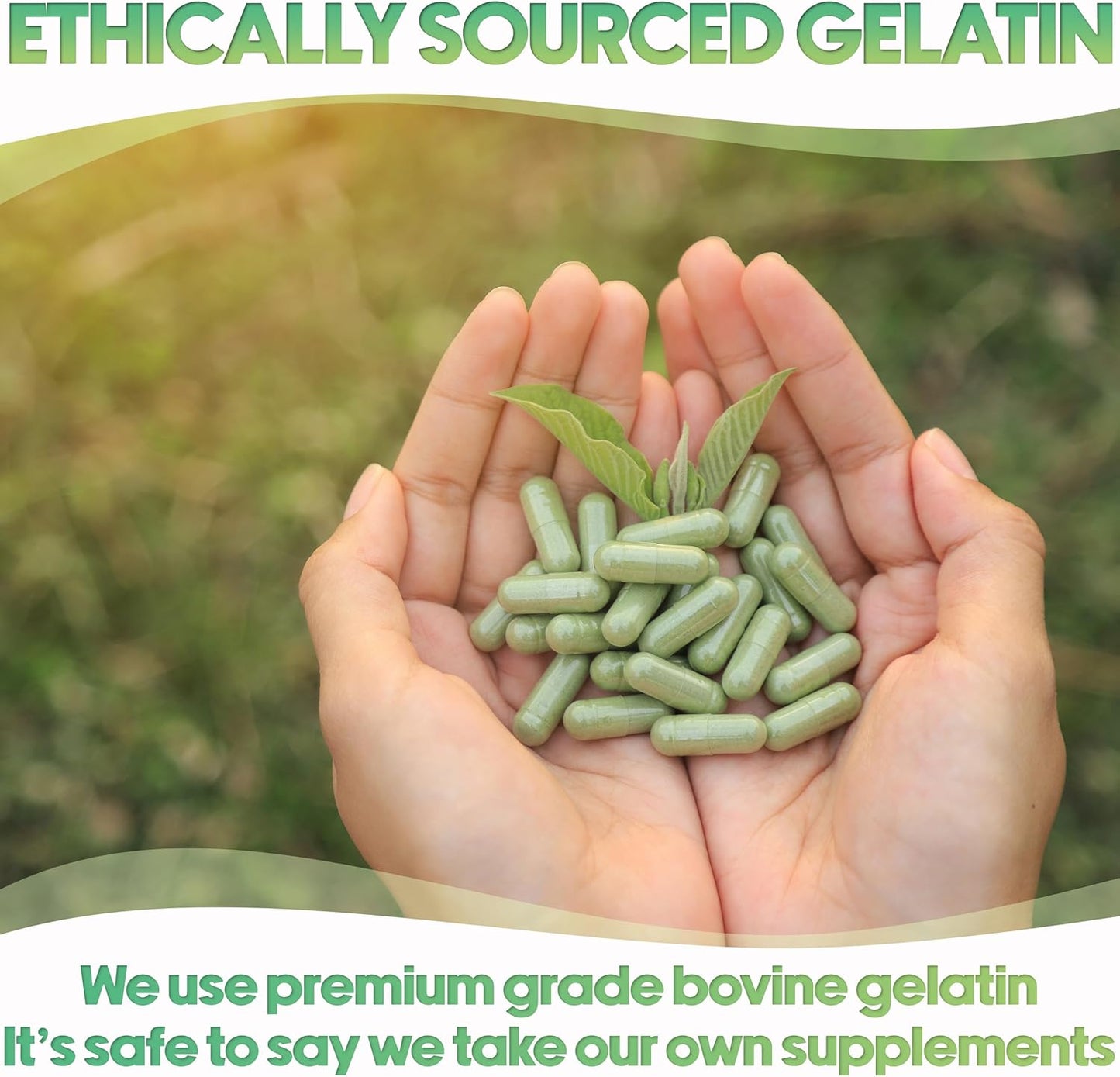 500 Count Size 3 Gelatin Empty Capsules for DIY Supplement Filling - Clear Pill Capsules in Bags