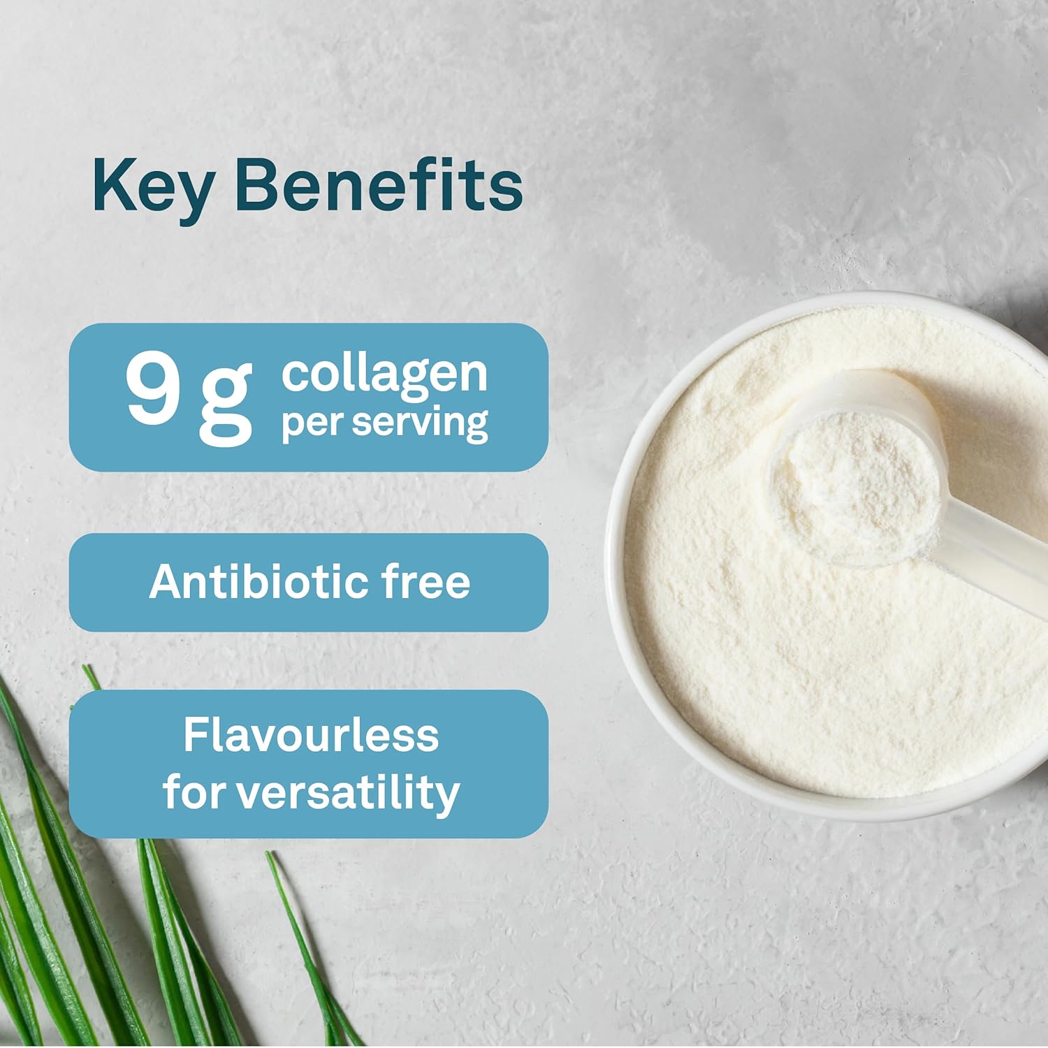 500 GR ORGANIKA Enhanced Collagen Powder for Skin, Hair & Nails Support