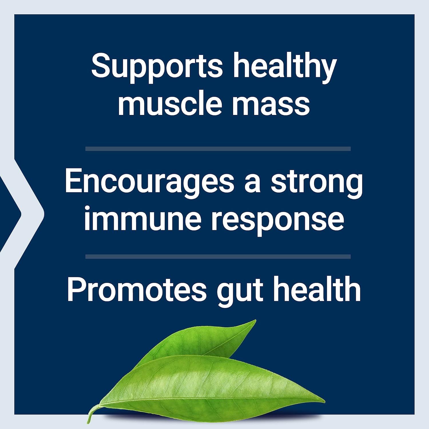 500 mg Life Extension L-Glutamine Capsules - Supports Muscle & Immune Health, Gluten-Free & Non-GMO - 100 Vegetarian Capsules