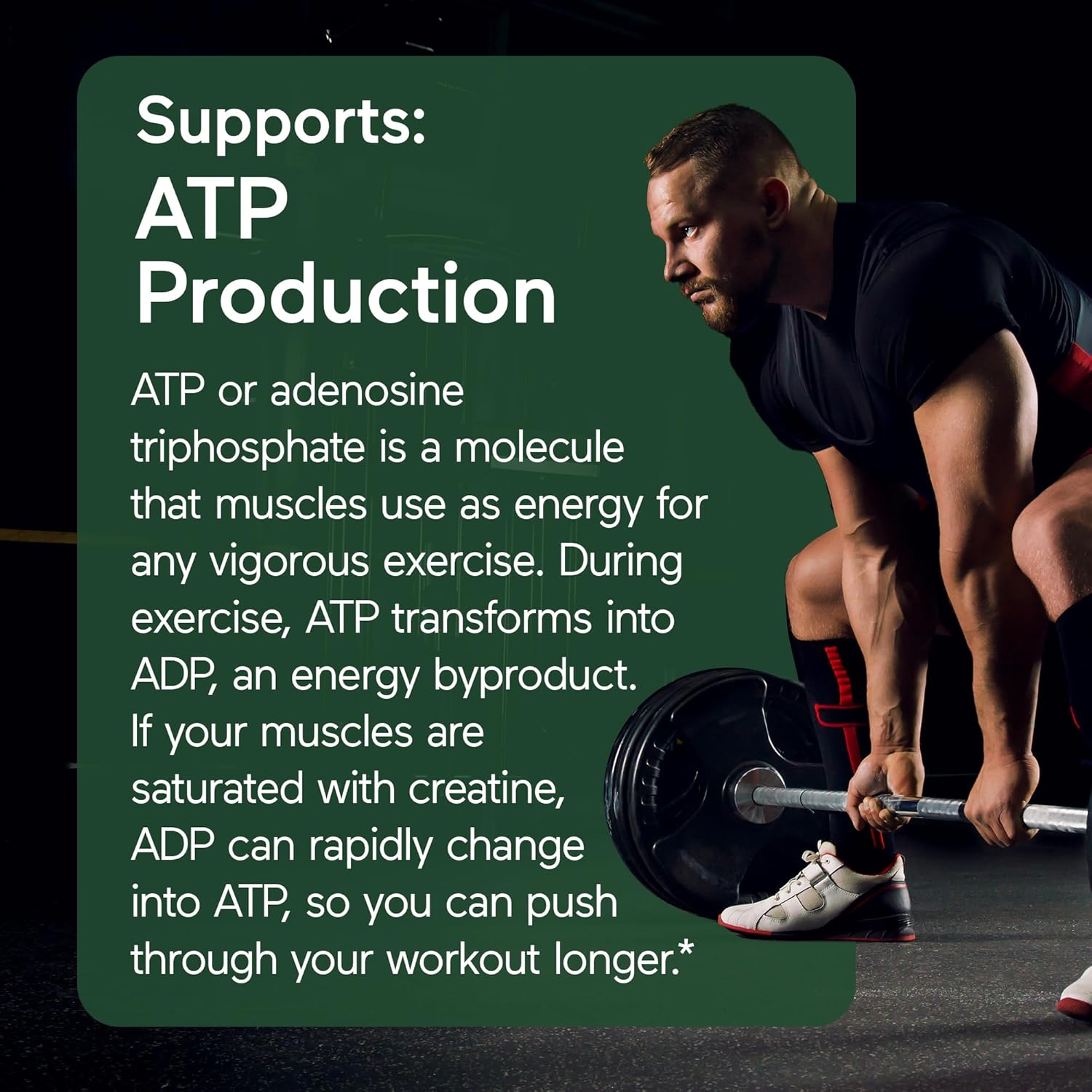 5000mg Creatine Monohydrate Powder - 500g for Muscle Mass & Hydration - Keto Friendly & Gluten-Free - 100 Servings