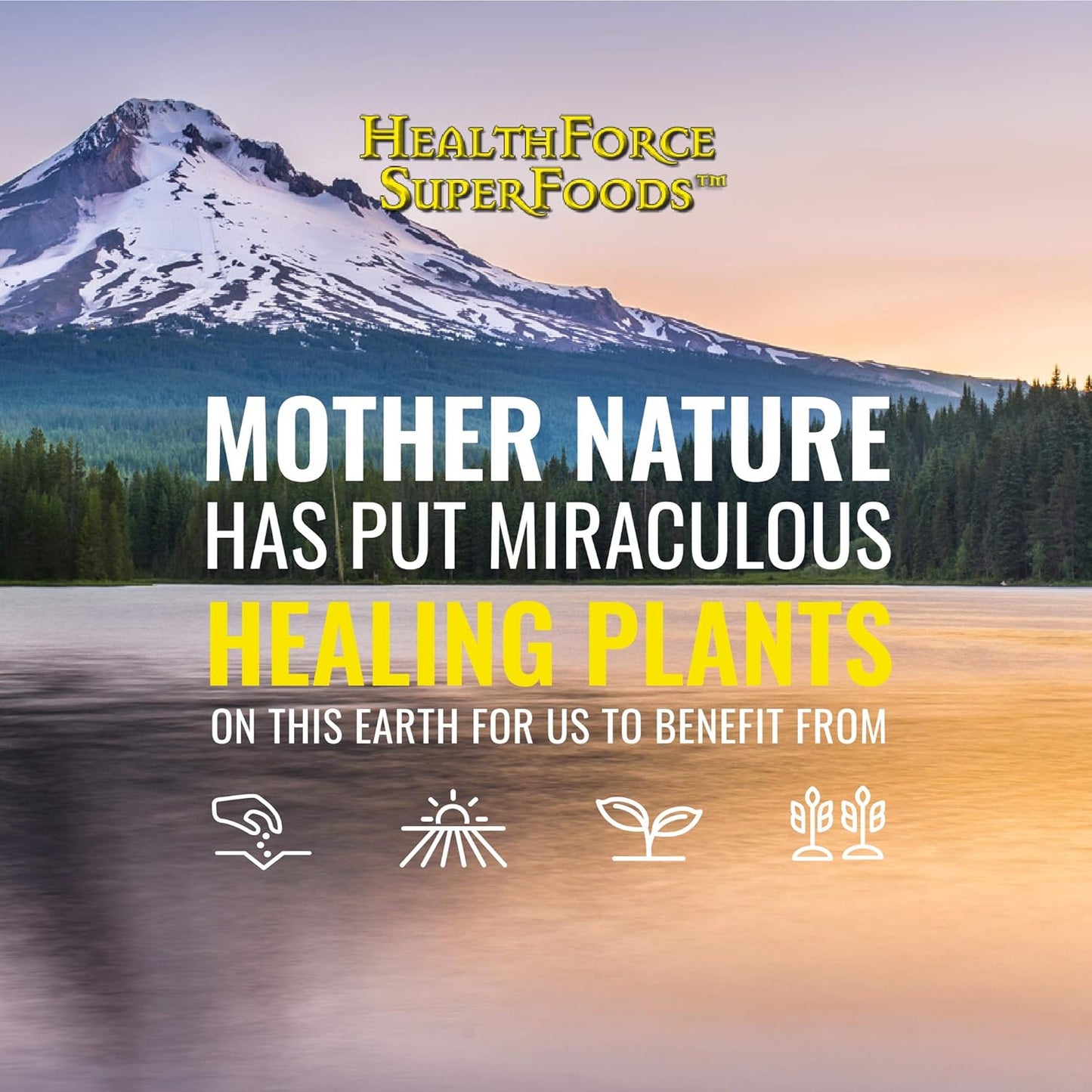 500g HealthForce Superfoods Green Protein Alchemy Powder - Organic Superfood Blend for Health