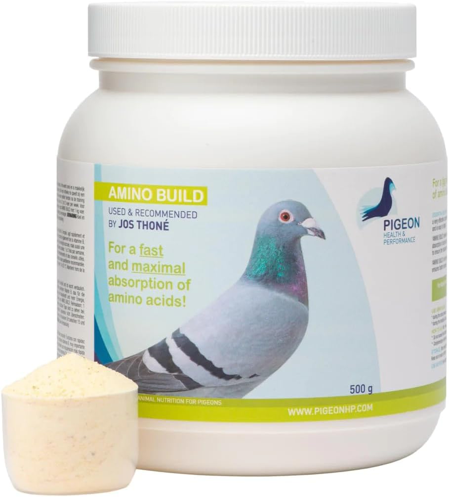 500g PHP Amino Build for Pigeon Health & Performance - Muscle-Building Amino Acids