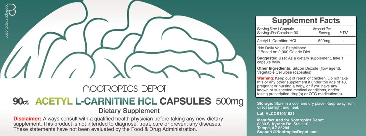 500mg Acetyl L-Carnitine Capsules | 90 Count | Supports Energy & Mitochondrial Function | Nootropics Depot ALCAR HCL Formula