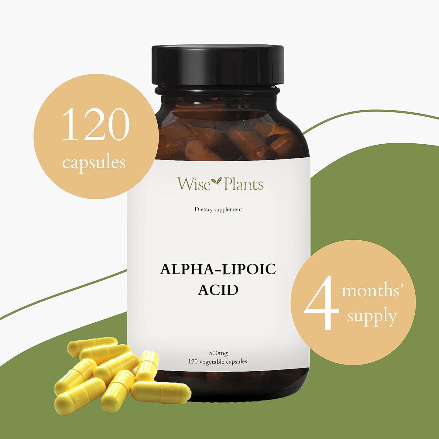 500mg Alpha-Lipoic Acid Supplement - Non-GMO - 120 Servings for 4 Months - Boost Energy and Support Mitochondria