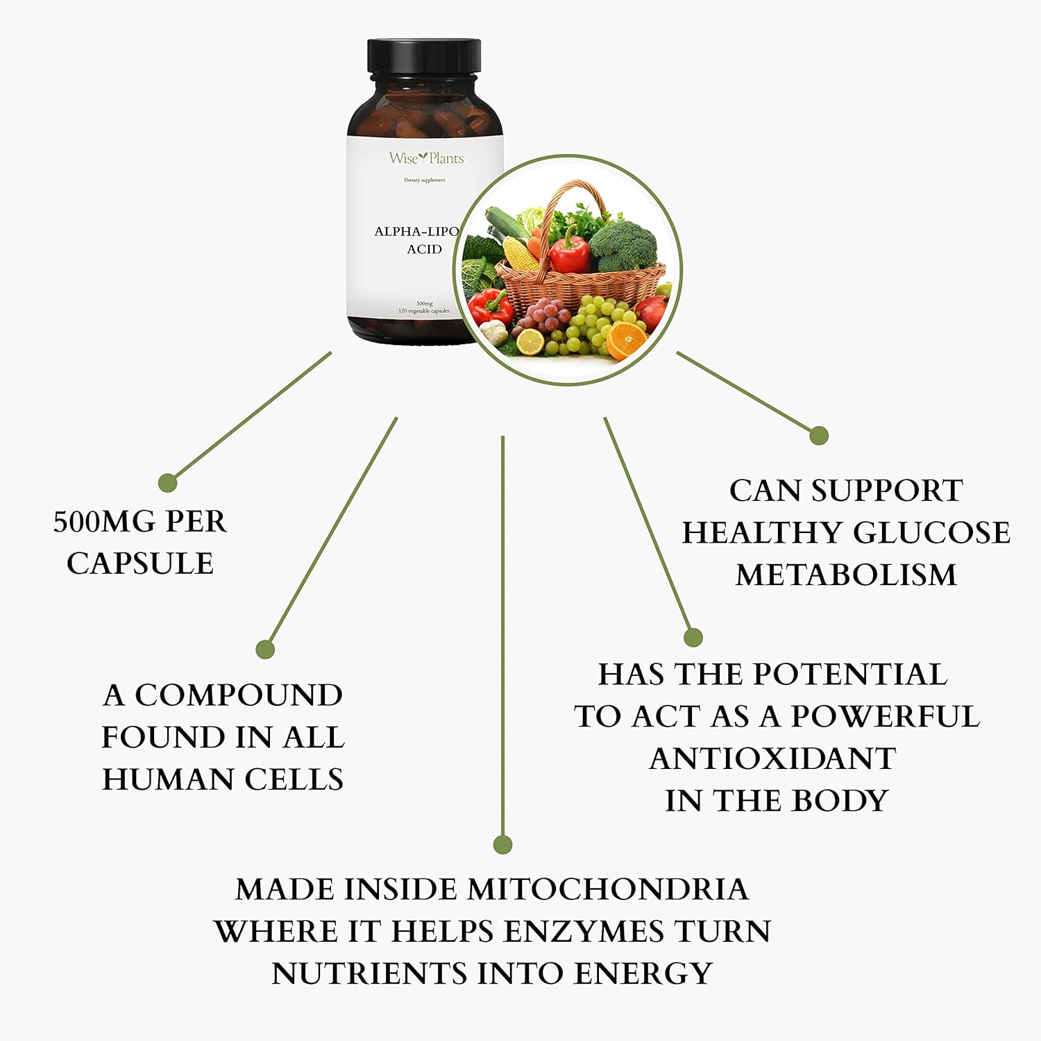 500mg Alpha-Lipoic Acid Supplement - Non-GMO - 120 Servings for 4 Months - Boost Energy and Support Mitochondria