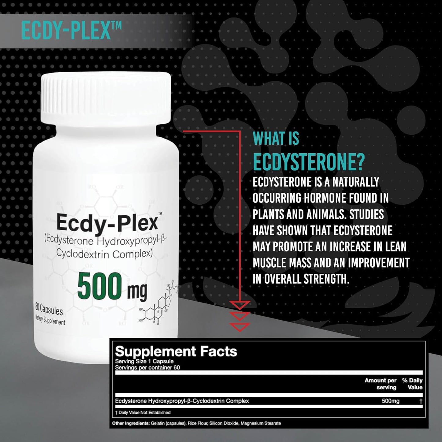 500mg Ecdysterone Capsules with Hydroxypropyl-β-Cyclodextrin for Better Absorption - 60 Count