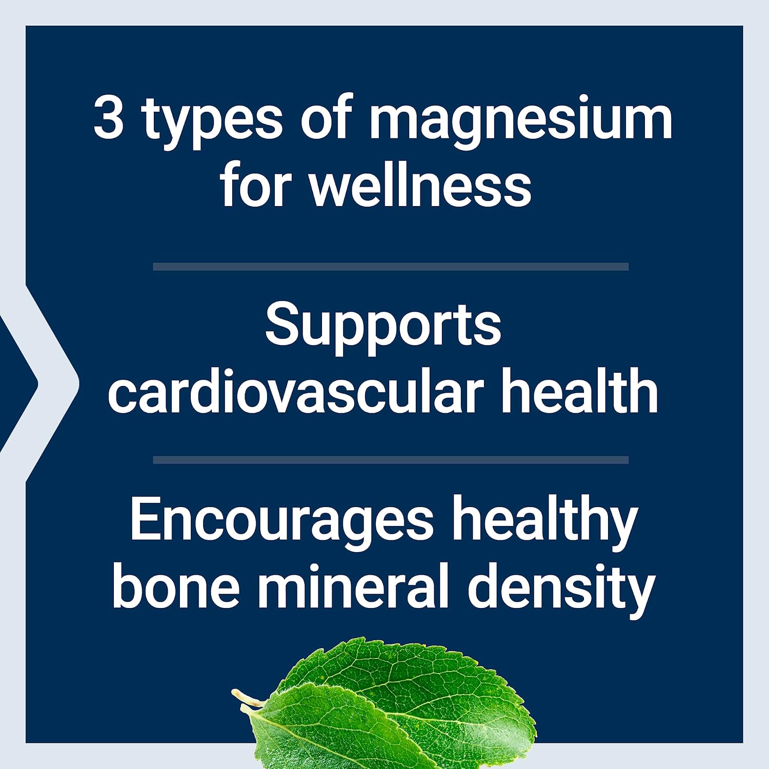 500mg Life Extension Magnesium Capsules for Heart Health, Bone Strength, and Metabolism Support - 100 Vegetarian Capsules