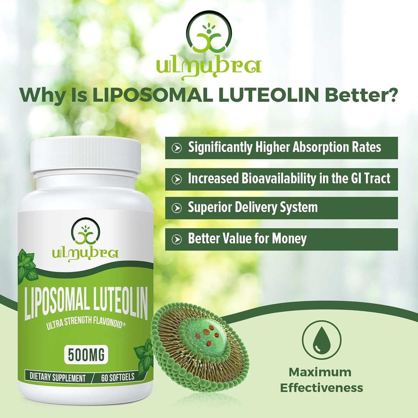 500MG Liposomal Luteolin Softgels for Maximum Absorption - 60 Count, Flavonoid Supplement, Non-GMO & Gluten Free