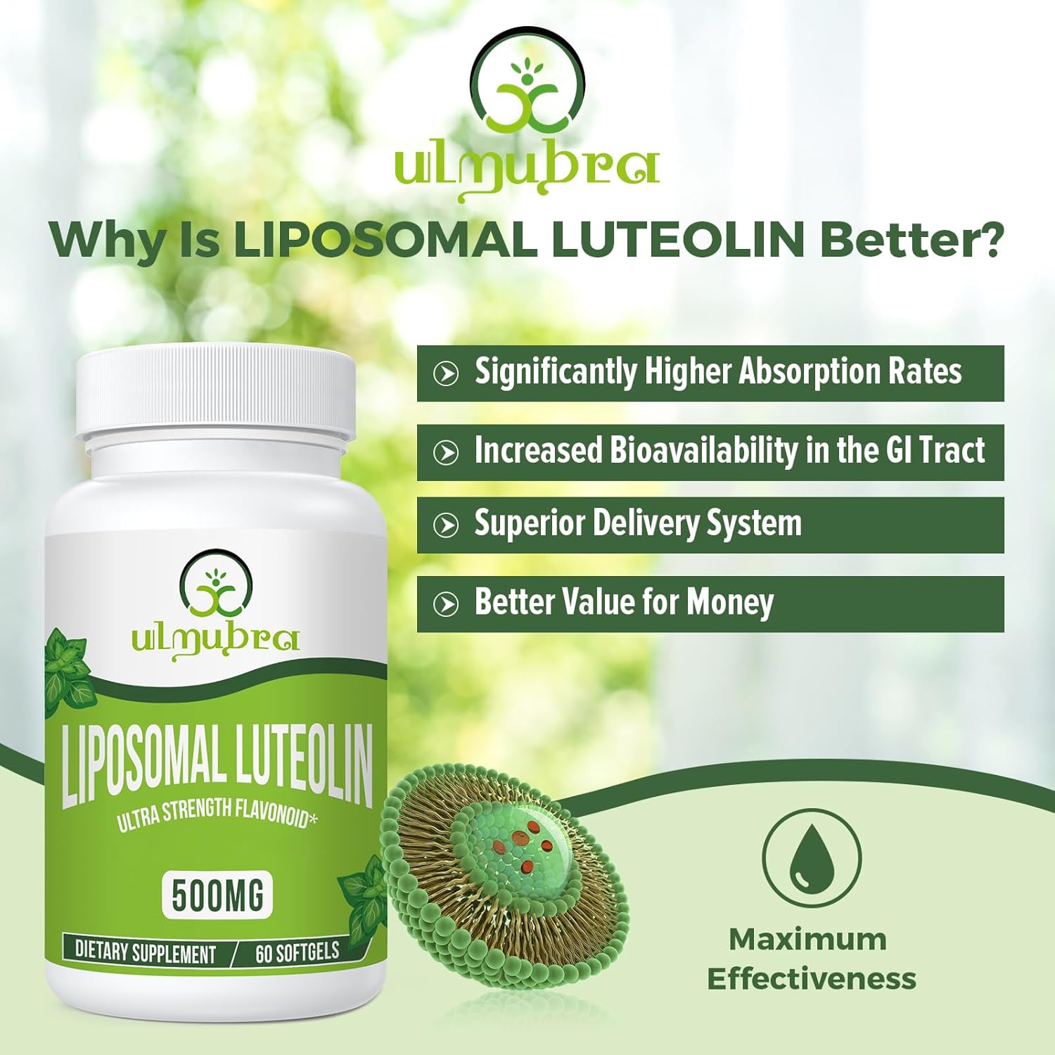 500MG Liposomal Luteolin Softgels for Maximum Absorption - 60 Count, Flavonoid Supplement, Non-GMO & Gluten Free