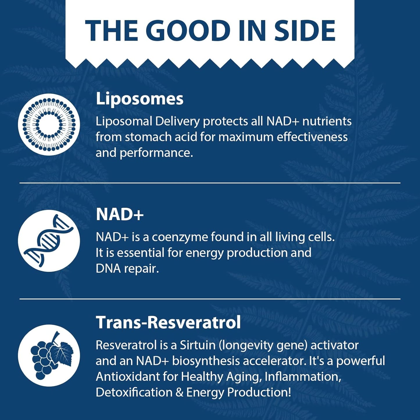 500mg Liposomal NAD+ with 300mg Trans-Resveratrol for Cellular Energy & DNA Repair - 120 Softgels