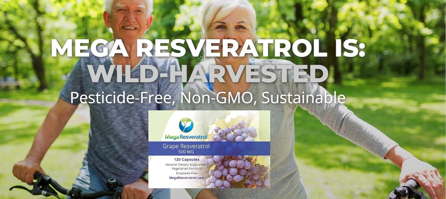 500mg Mega Resveratrol Red Grape Skin Capsules - High Absorption, Boosts Nitric Oxide, Water-Soluble - Keto, Vegan, Non-GMO - Purity Certified, No Toxic Ingredients