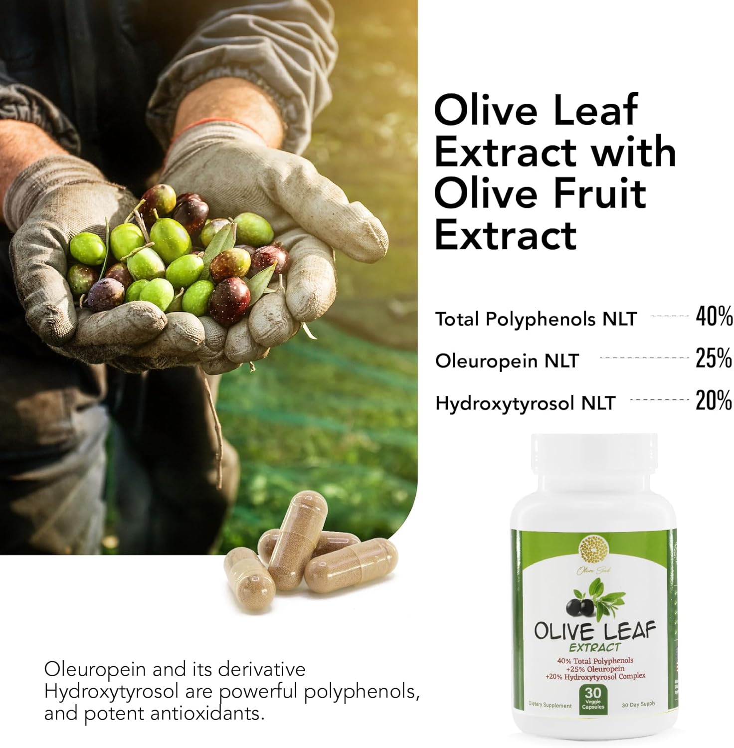 500mg Olive Leaf Extract Supplement with 25% Oleuropein, 20% Hydroxytyrosol, and 40% Polyphenols - Non-GMO, Gluten Free, Dairy Free, Soy Free, Vegan - 30 Capsules