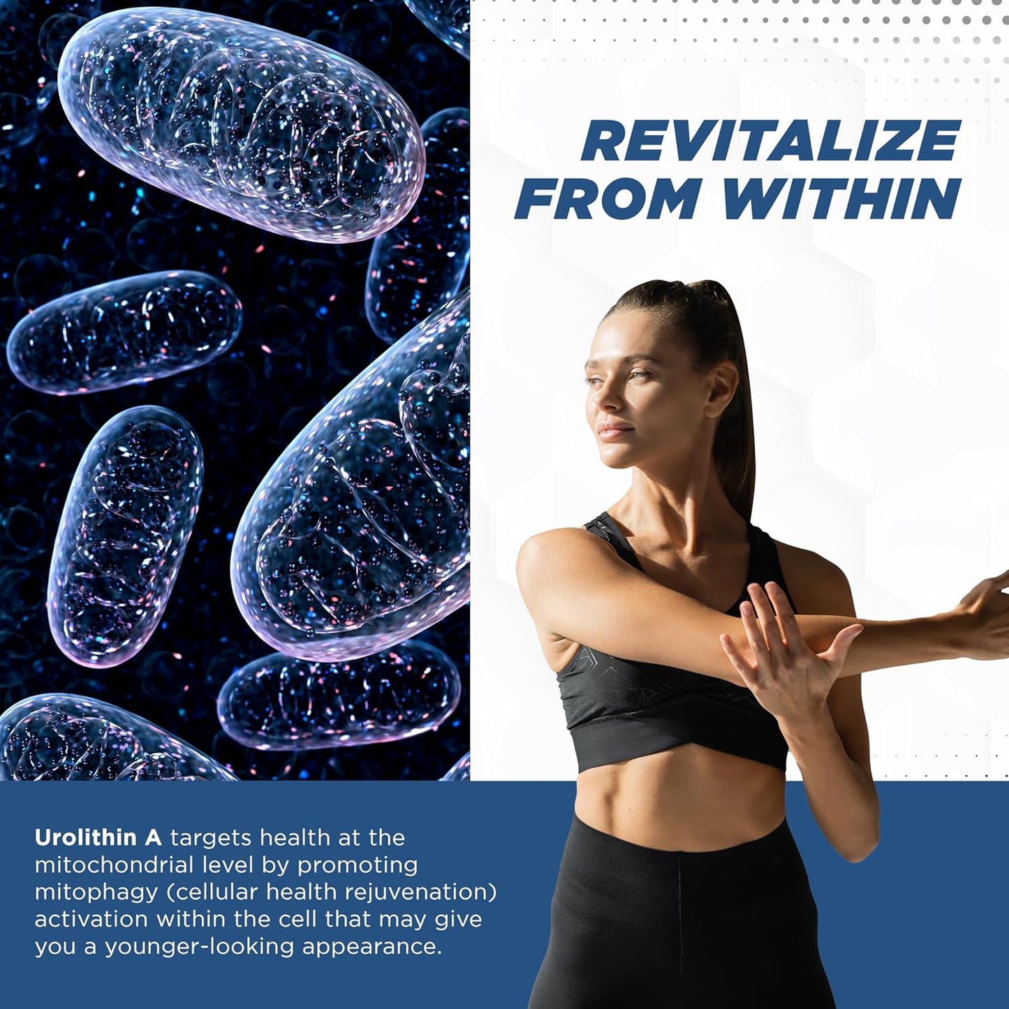 500mg Pure Urolithin A Supplement for Men & Women - Natural ProMito Urolithin A Capsules - Alternative to NMN, NAD, CoQ10 - 28 Capsules