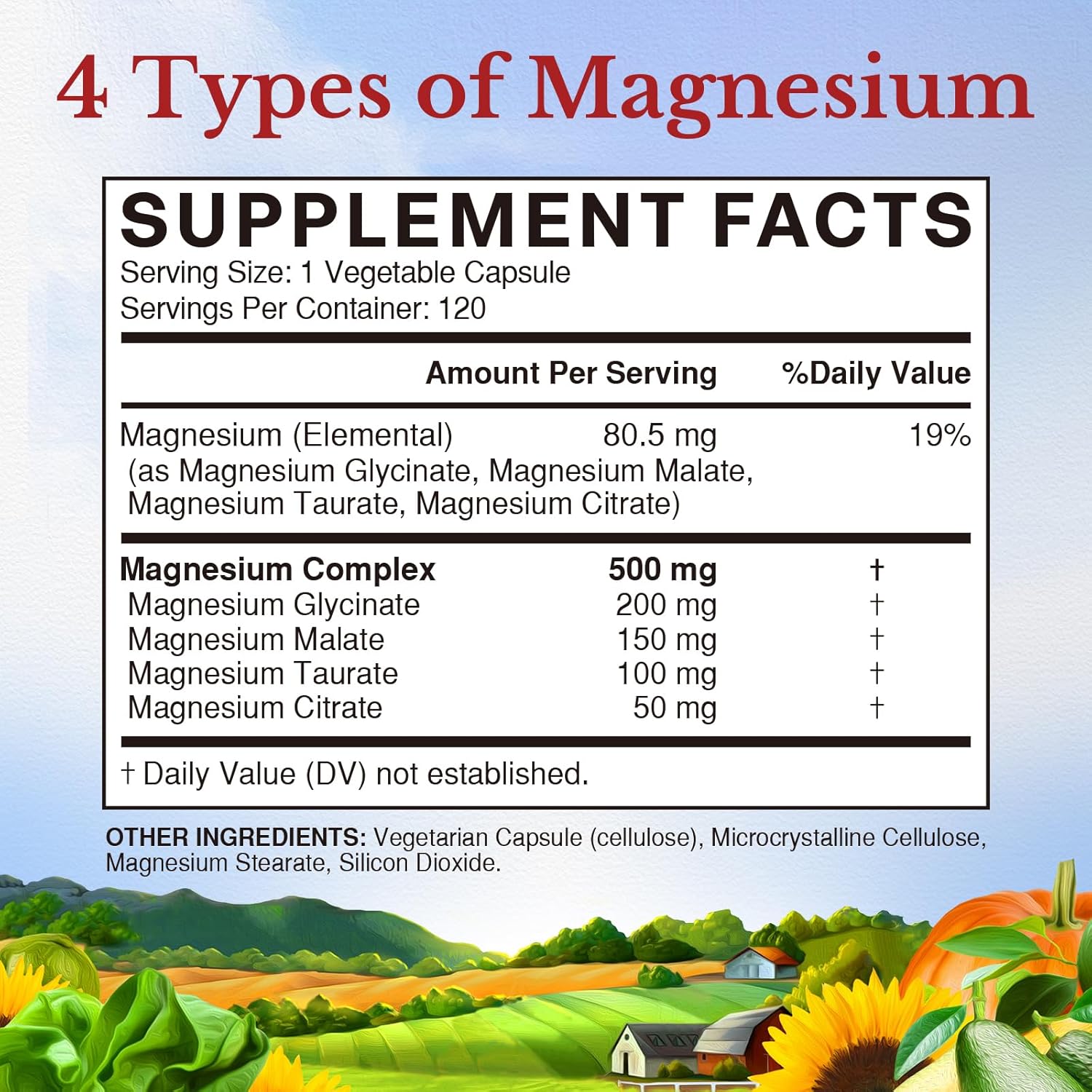 500mg Vitalitown Magnesium Complex Supplement with Chelated Glycinate, Malate, Taurate & Citrate - Vegan Non-GMO Capsules for Sleep, Muscle, Energy & Heart - 120 Count