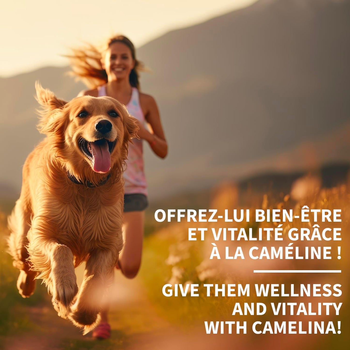 500mL Signé Caméline Camelina Oil for Pets by Olimega Farm | Rich in Omega-3 & Vitamin E | Promotes Joint, Coat & Skin Health | Canadian-Made Alternative to Salmon Oil | Non-GMO