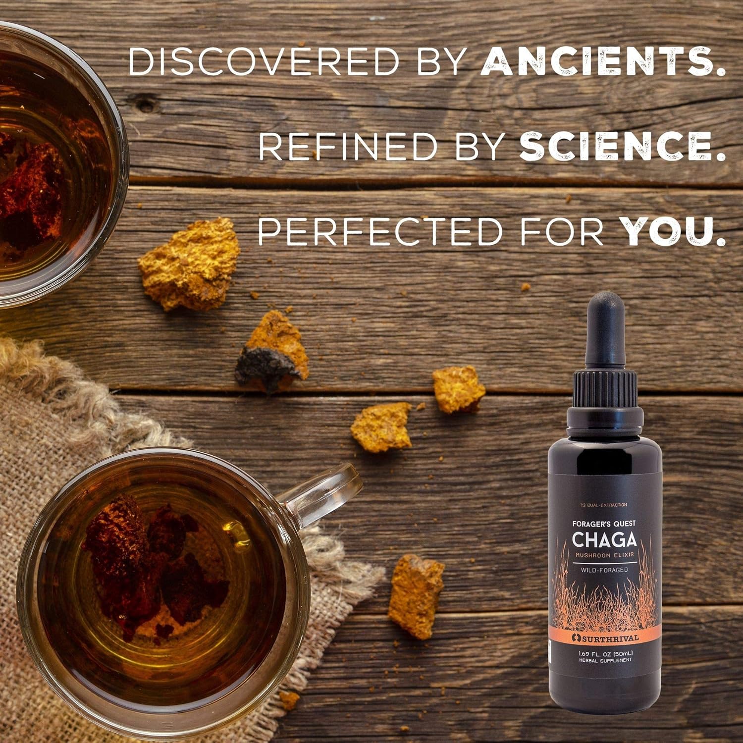 50mL SurThrival Chaga Mushroom Extract: Forager's Immune-Boosting Anti-Viral & Anti-Fungal Medicinal Supplement