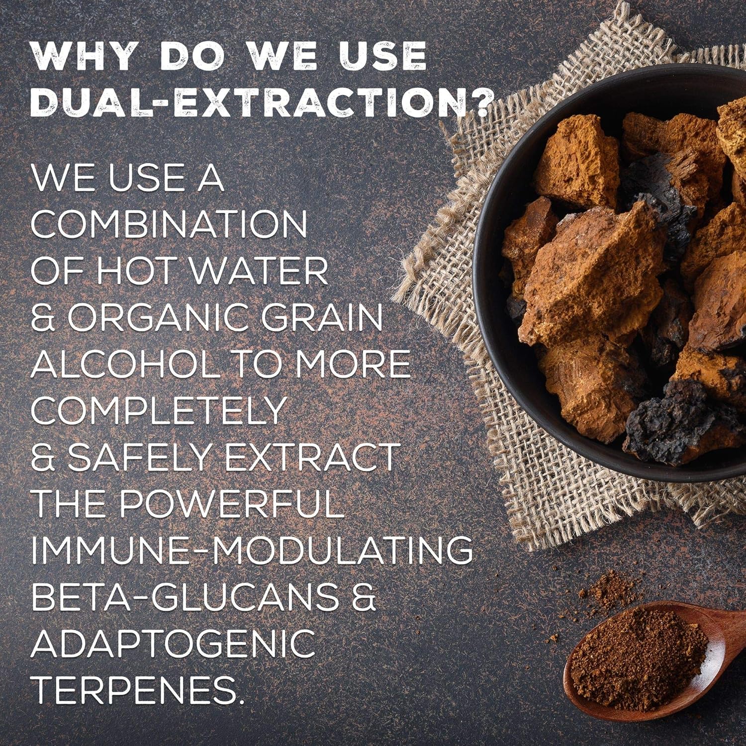 50mL SurThrival Chaga Mushroom Extract: Forager's Immune-Boosting Anti-Viral & Anti-Fungal Medicinal Supplement