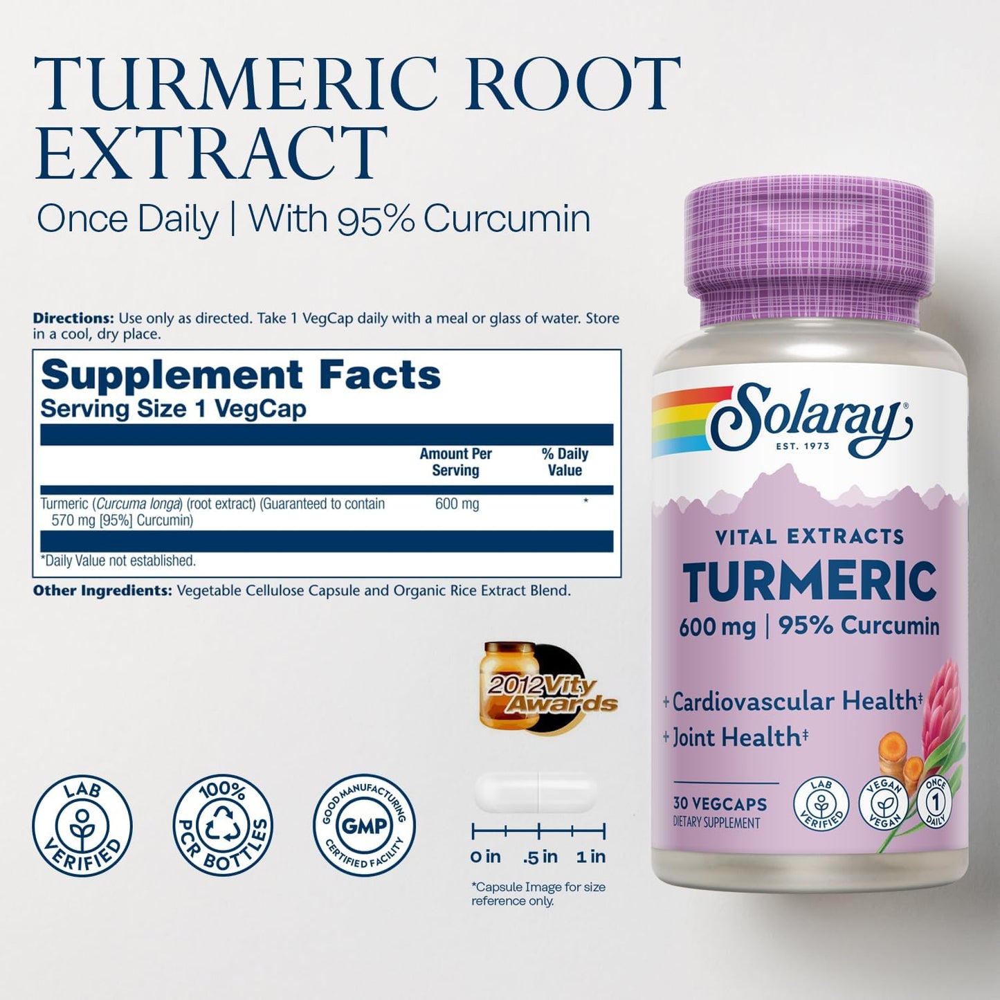 570 mg Turmeric Root Extract Capsules with 95% Curcumin for Heart and Joint Health - Lab Verified - 60 VegCaps (30-Day Supply)