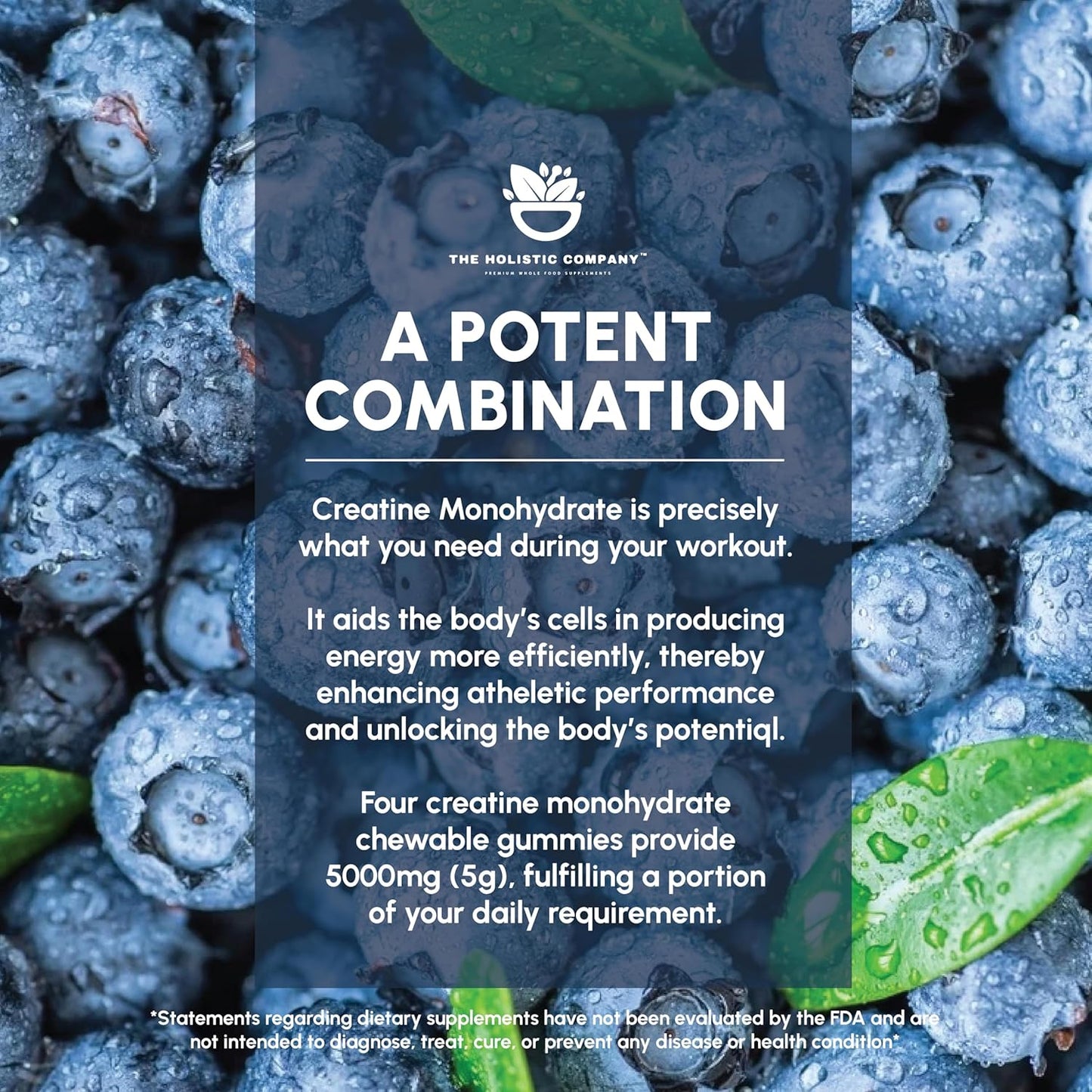 5g High Strength Blueberry Flavored Creatine Monohydrate Gummies for Pre Workout - The Holistic Company