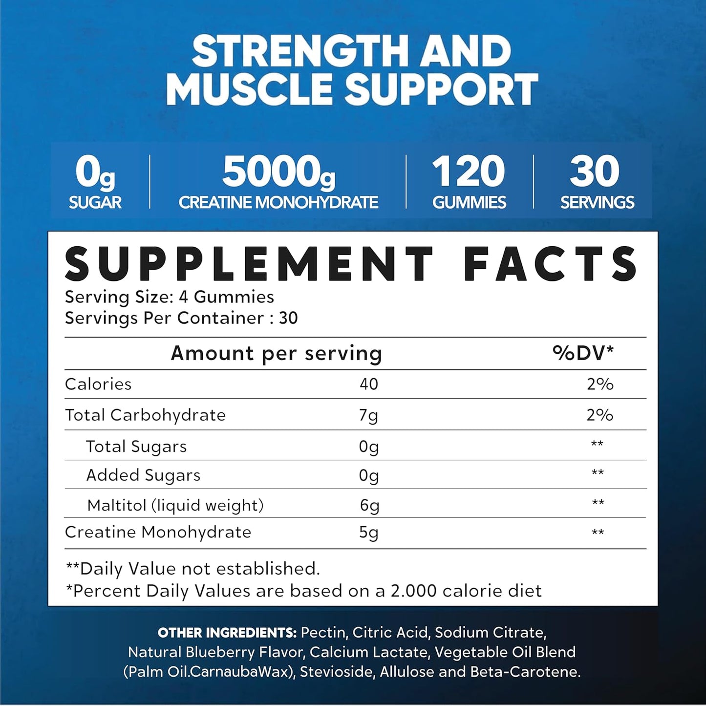 5g High Strength Blueberry Flavored Creatine Monohydrate Gummies for Pre Workout - The Holistic Company