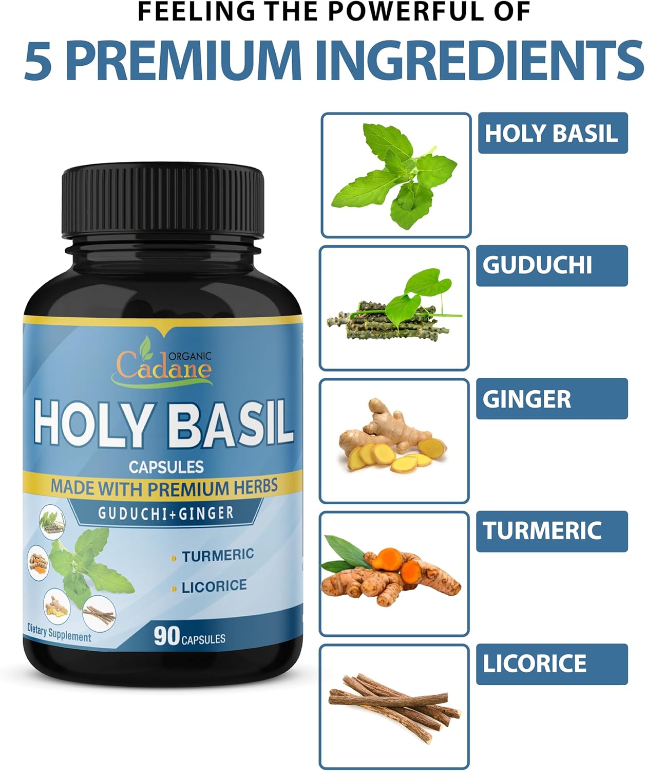 5in1 Organic Cadane Holy Basil Supplements Capsules with Guduchi, Ginger, Turmeric Curcumin, Licorice - 90 Capsules for Immune Support for 3 Months