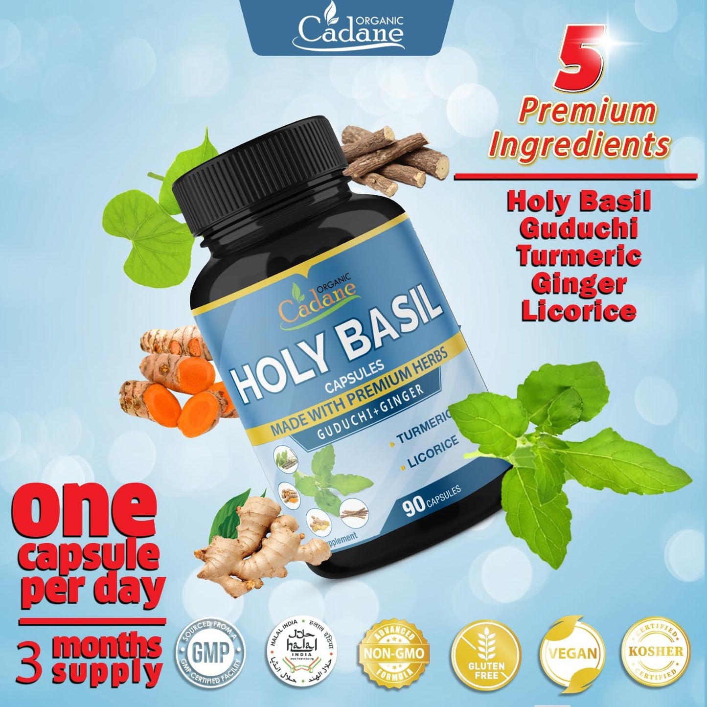 5in1 Organic Cadane Holy Basil Supplements Capsules with Guduchi, Ginger, Turmeric Curcumin, Licorice - 90 Capsules for Immune Support for 3 Months