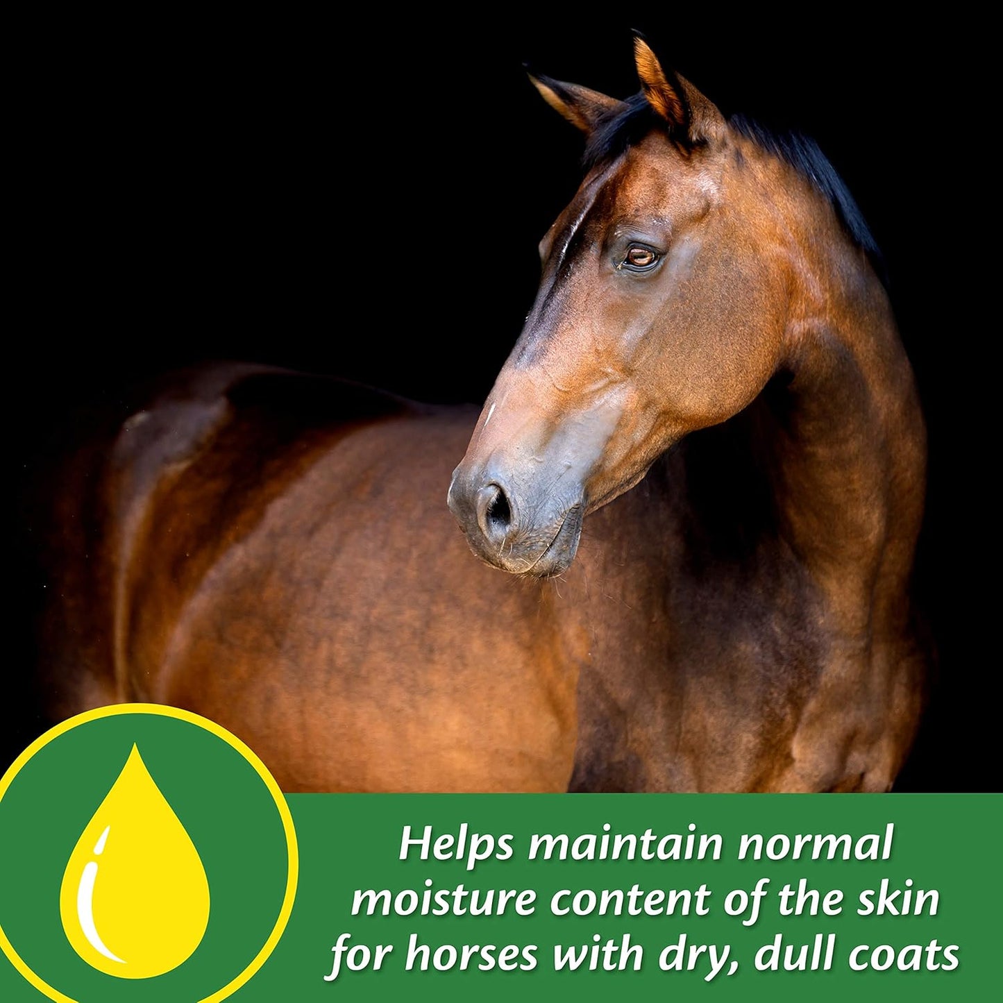 5lb Farnam Super 14 Horse Coat Supplement for Healthy Skin & Shiny Coats, 80-Day Supply