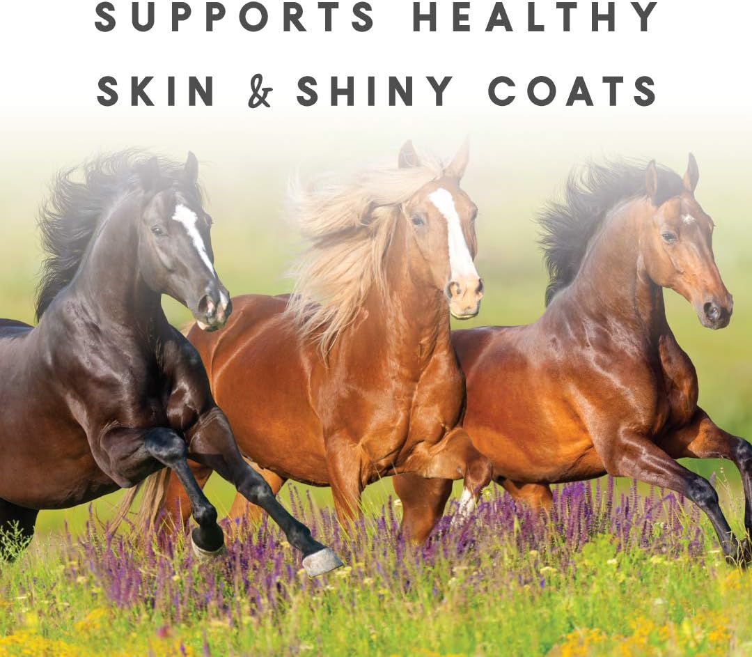 5lb Manna Pro Sho-Glo Supplement: Healthy Skin & Coat Vitamins for Horses