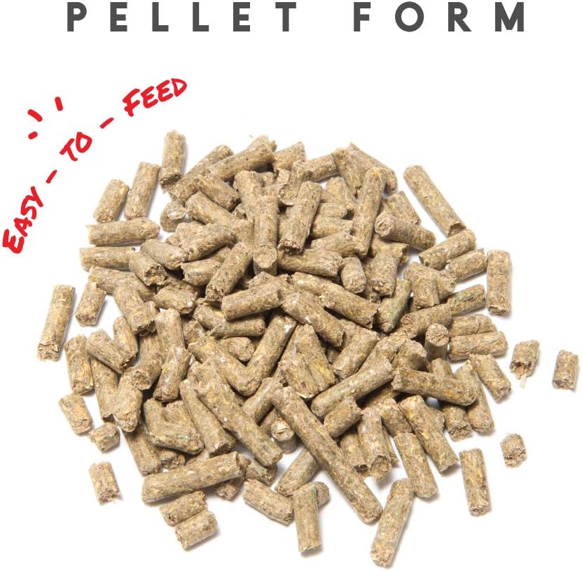 5lb Manna Pro Sho-Glo Supplement: Healthy Skin & Coat Vitamins for Horses