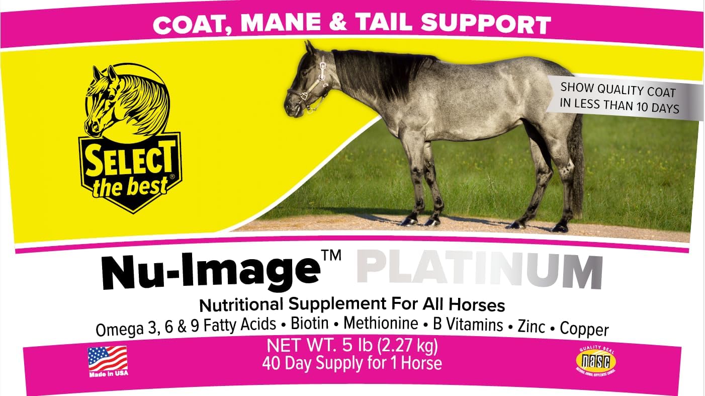 5LB Platinum Nu-Image - Top Selection for Optimal Results