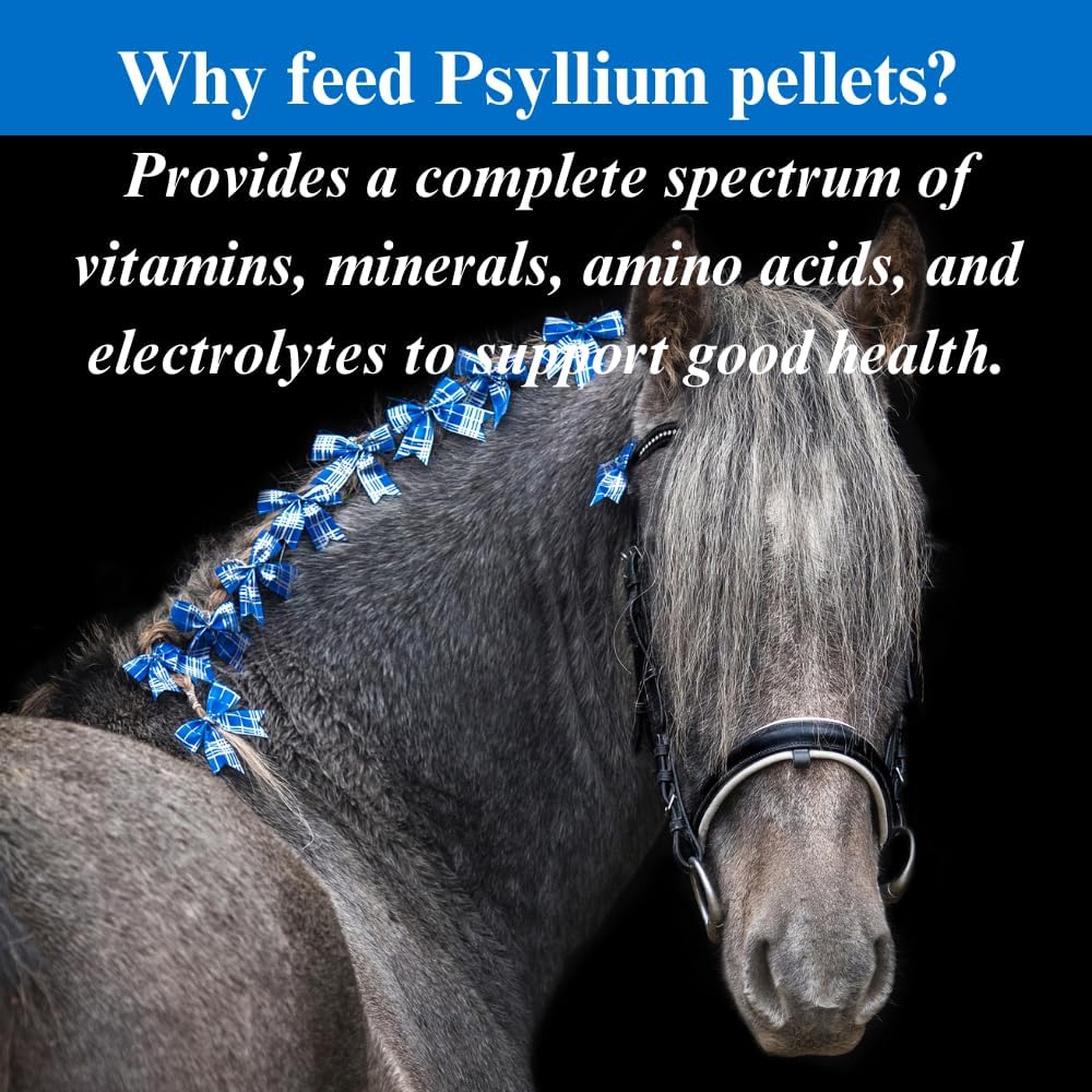 5lb SU-PER Psyllium Pellets Horse Digestive Tract Supplement - Supports Sand & Dirt Removal - 1 Month Supply