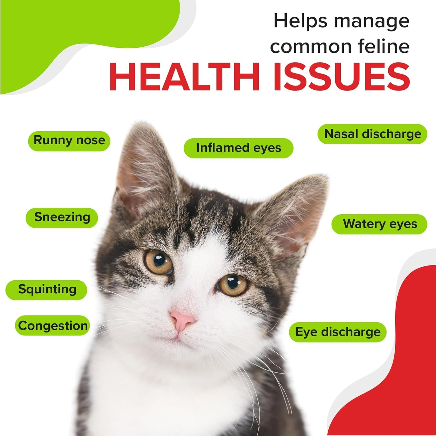 5oz Pet Health Pharma Trulysine Viralysine L-Lysine Gel Supplement for Cats - Boost Immune Health, Reduce Sneezing and Runny Nose - Maple Flavor - All Ages