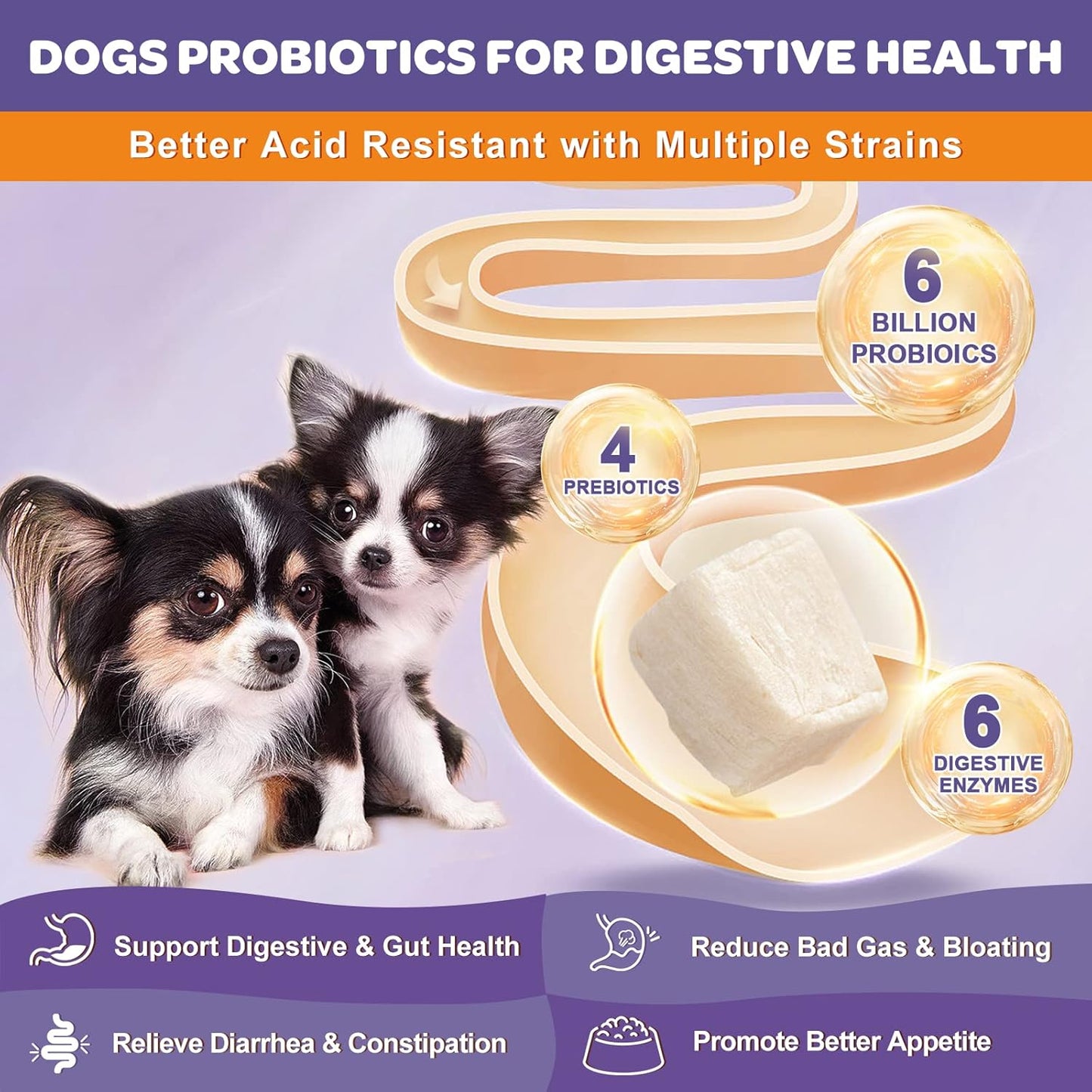 6 Billion CFUs Freeze Dried Dog Probiotics with Prebiotics, Digestive Enzymes, Vitamins, Omega 3 for Gut, Skin, & Immune Health, Itch Relief, Reduce Diarrhea & Gas