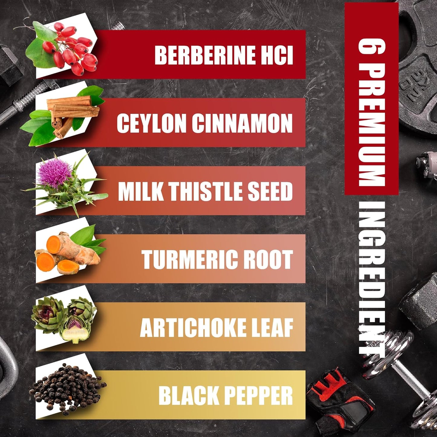 6-in-1 Berberine Supplement with Ceylon Cinnamon, Turmeric, Milk Thistle, Artichoke, Black Pepper - 120 Capsules