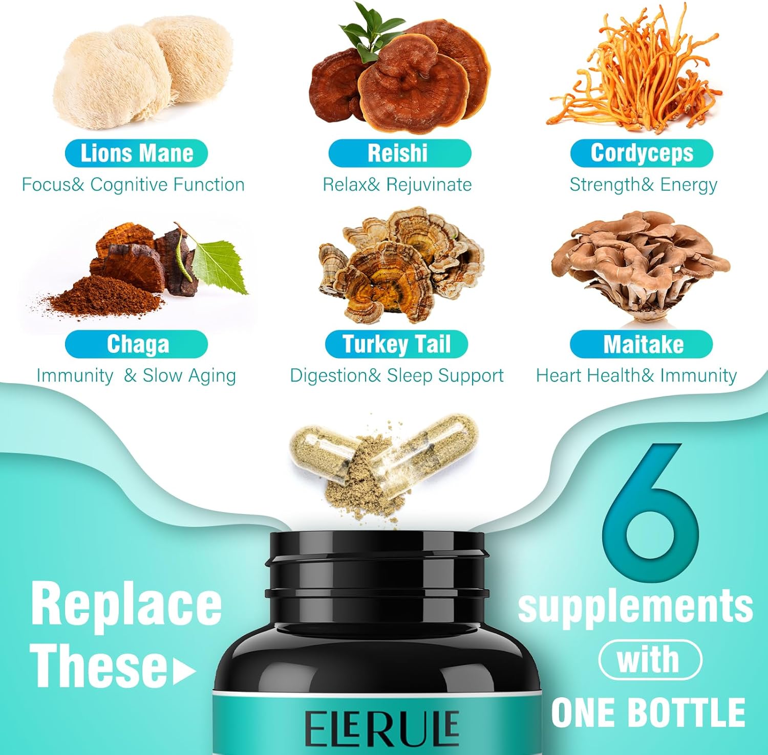 6-in-1 Mushroom Supplement for Focus, Memory, Brain Support - Lions Mane, Reishi, Cordyceps, Chaga, Turkey Tail, Maitake - 120 Capsules