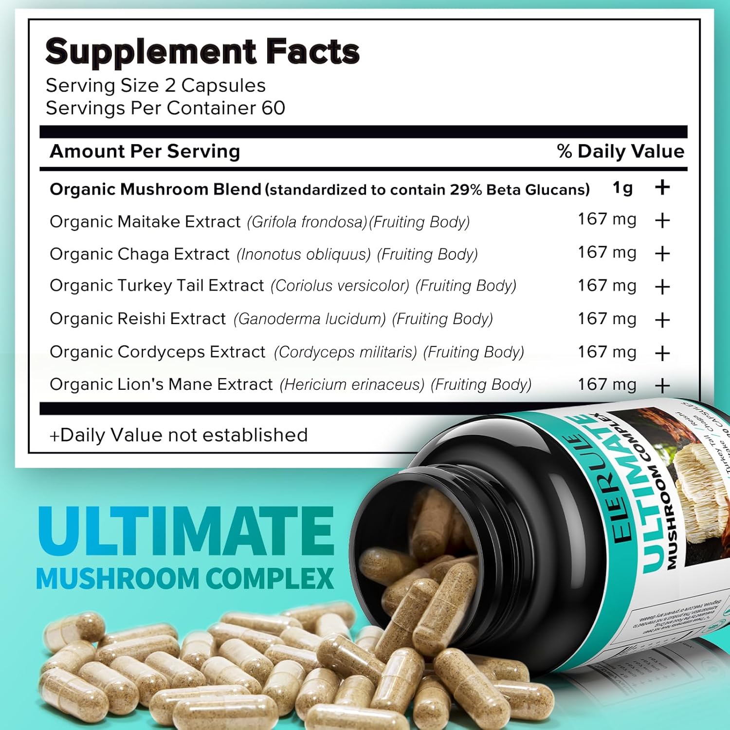 6-in-1 Mushroom Supplement for Focus, Memory, Brain Support - Lions Mane, Reishi, Cordyceps, Chaga, Turkey Tail, Maitake - 120 Capsules