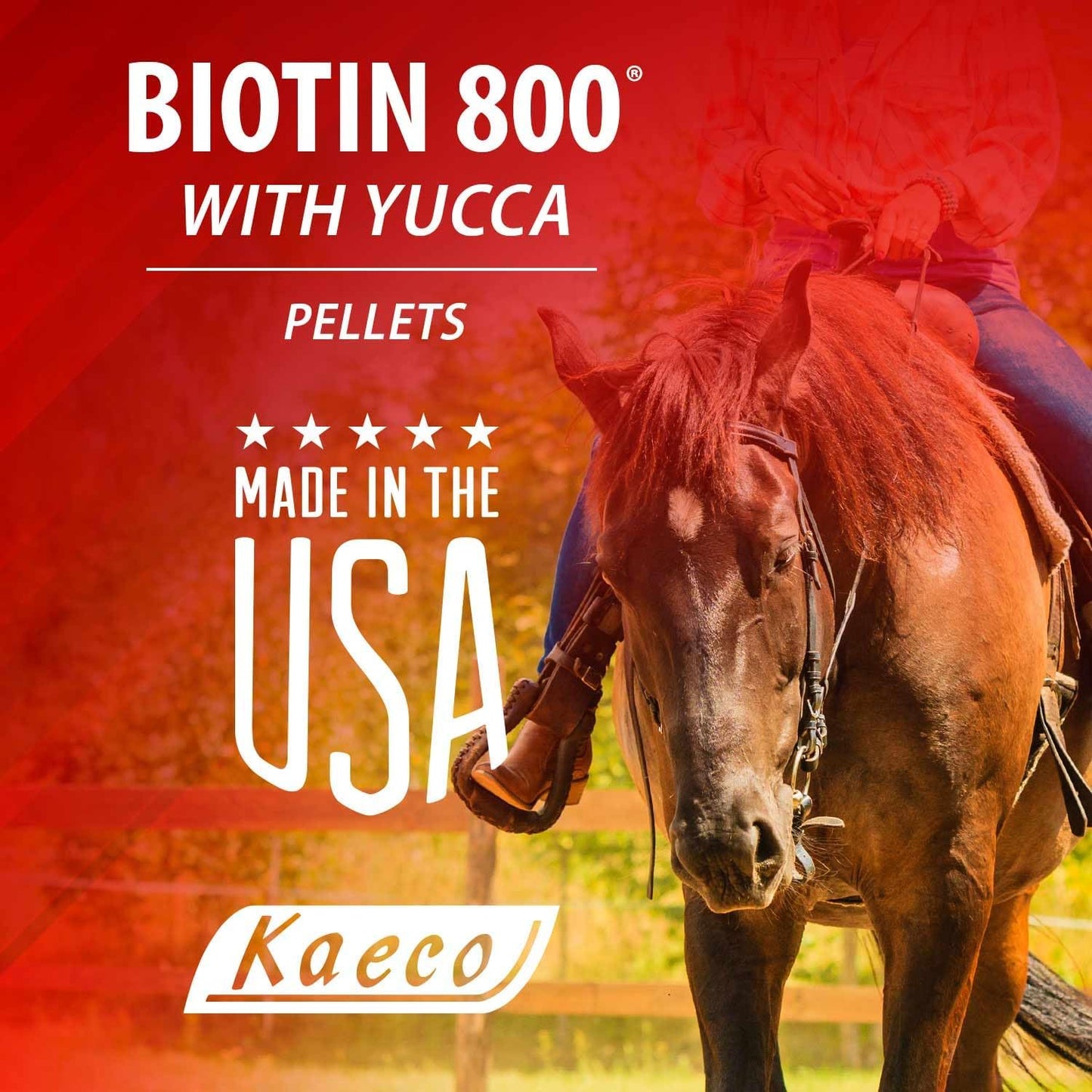 6 lb RJ Matthews Biotin 800 Pellets for Horse Hoof Health and Coat Shine