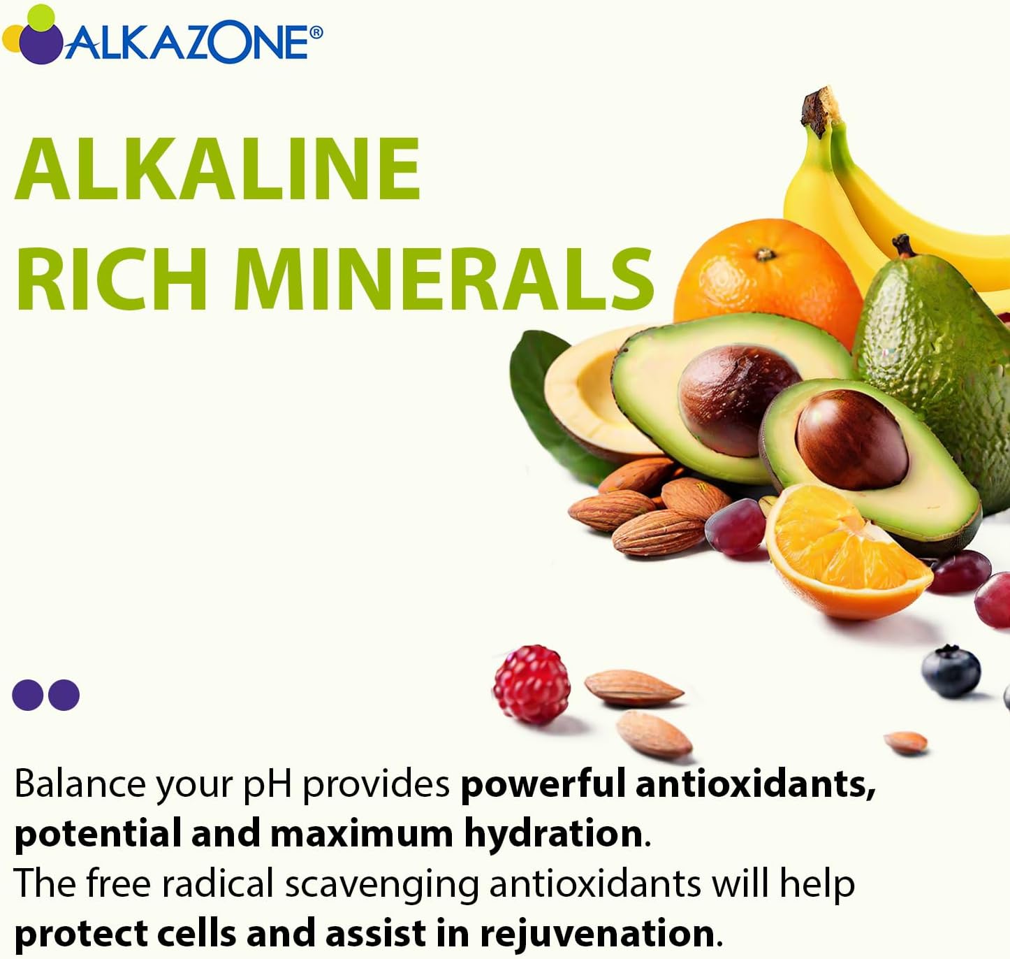 6-Pack ALKAZONE Antioxidants Alkaline Mineral Booster & Supplements for pH Balance