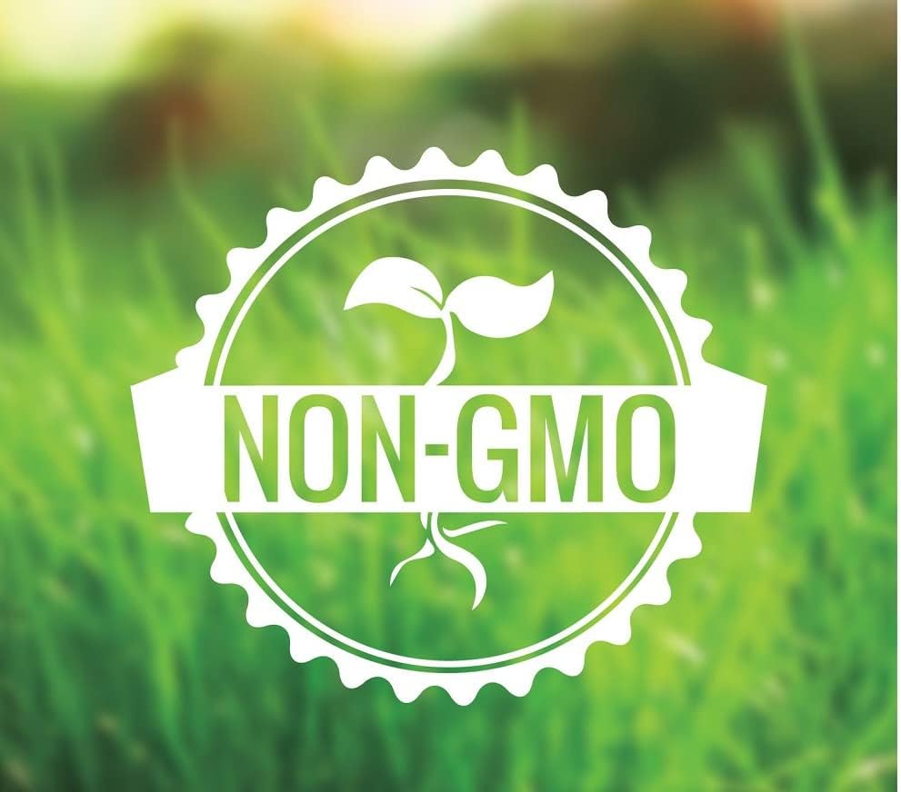 6-Pack GC GoutCare Capsules for Uric Acid Management & Joint Support with Turmeric, Garlic, Milk Thistle - 90 Capsules/Bottle