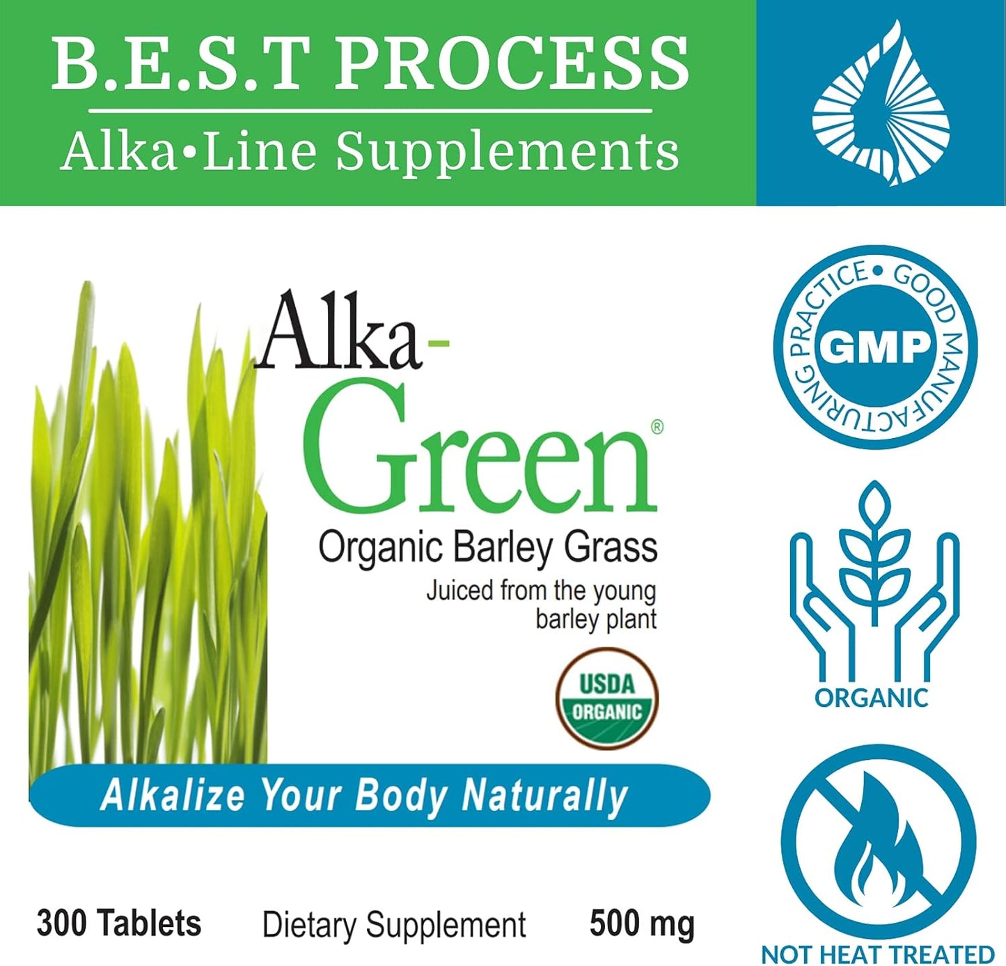 6 Pack Morter HealthSystem Alka•Green Tablets - Best Process Alkaline Barley Grass Supplement - Organic Nutrient Dense Source of Enzymes & Amino Acids