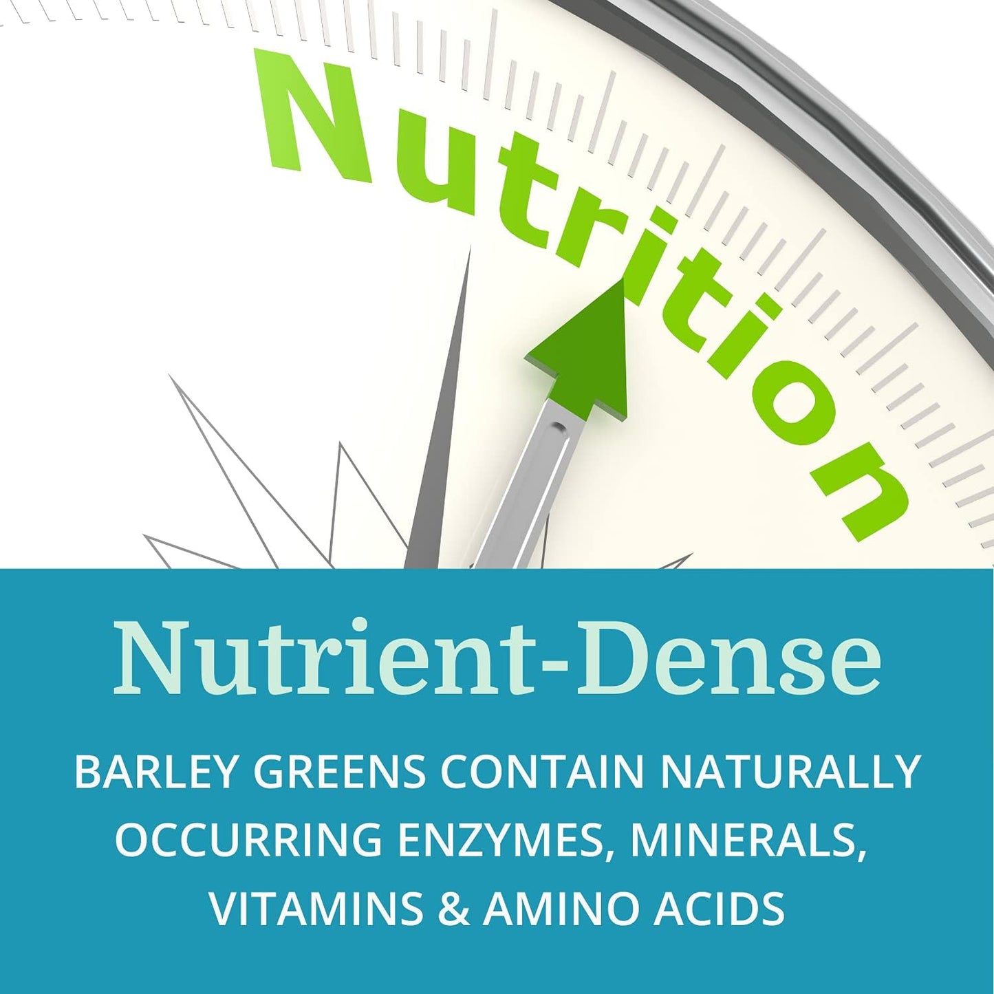 6 Pack Morter HealthSystem Alka•Green Tablets - Best Process Alkaline Barley Grass Supplement - Organic Nutrient Dense Source of Enzymes & Amino Acids