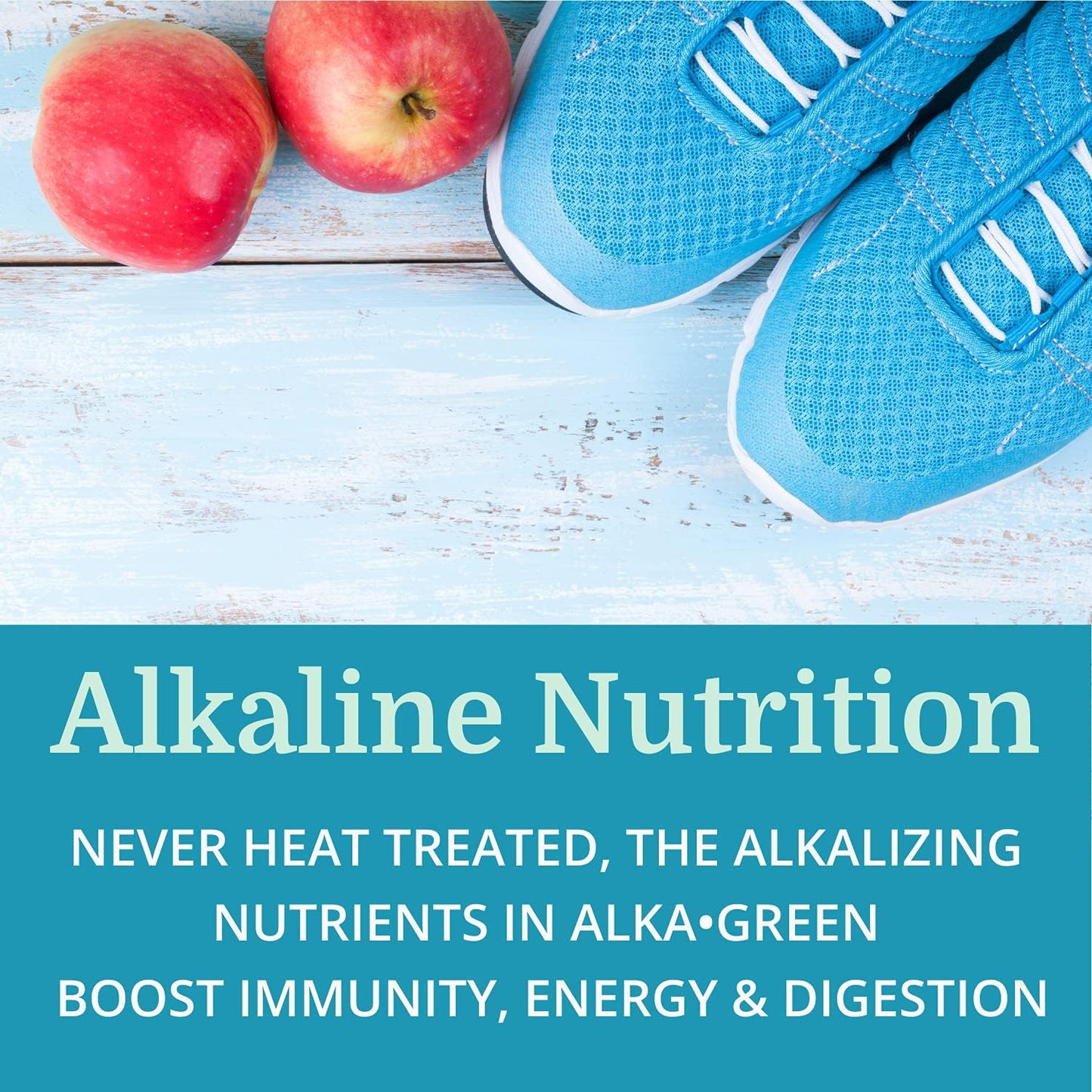 6 Pack Morter HealthSystem Alka•Green Tablets - Best Process Alkaline Barley Grass Supplement - Organic Nutrient Dense Source of Enzymes & Amino Acids