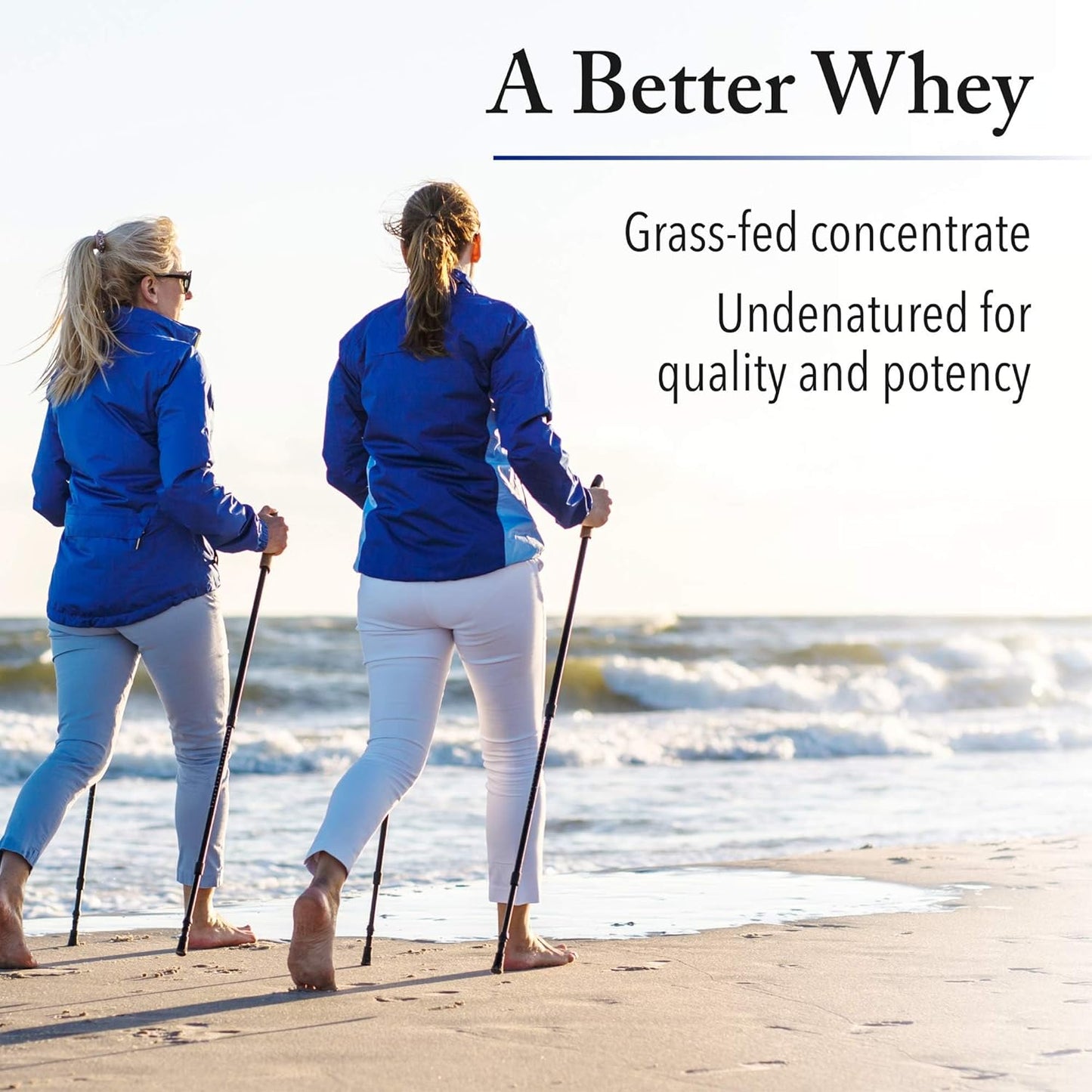 6-Pack Natural Factors Whey Factors French Vanilla Protein Powder 2 lbs.